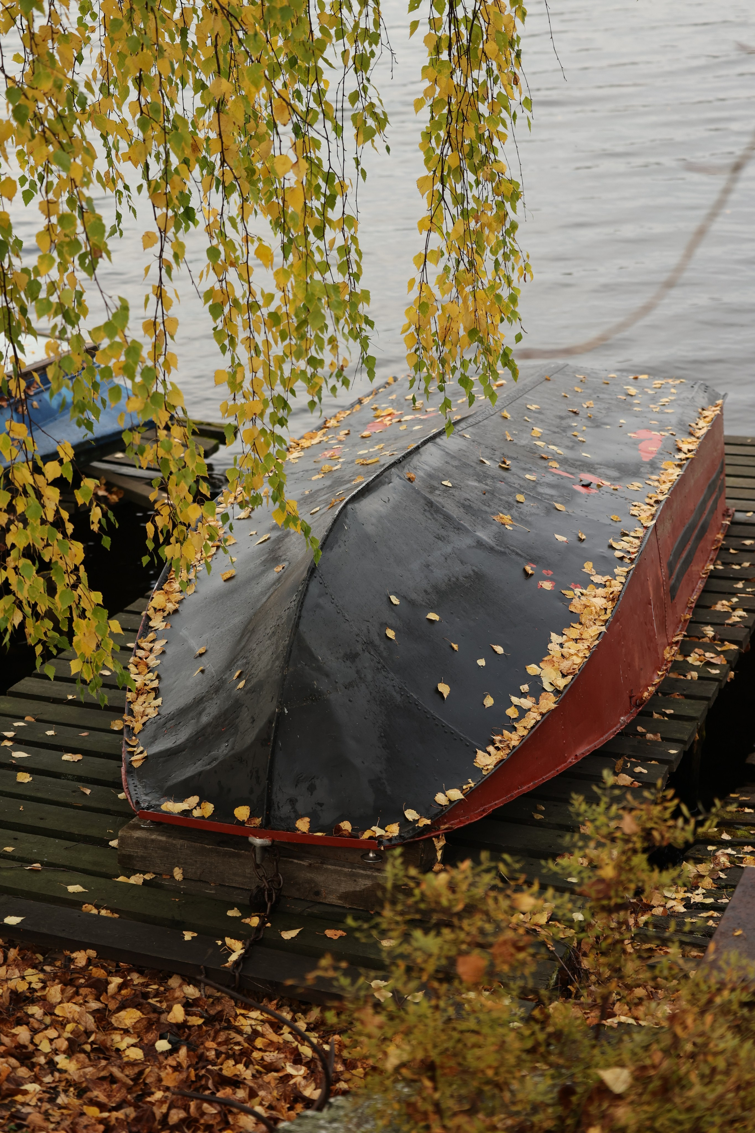 Плёс. Фотограф Виктория Волкова. Москва