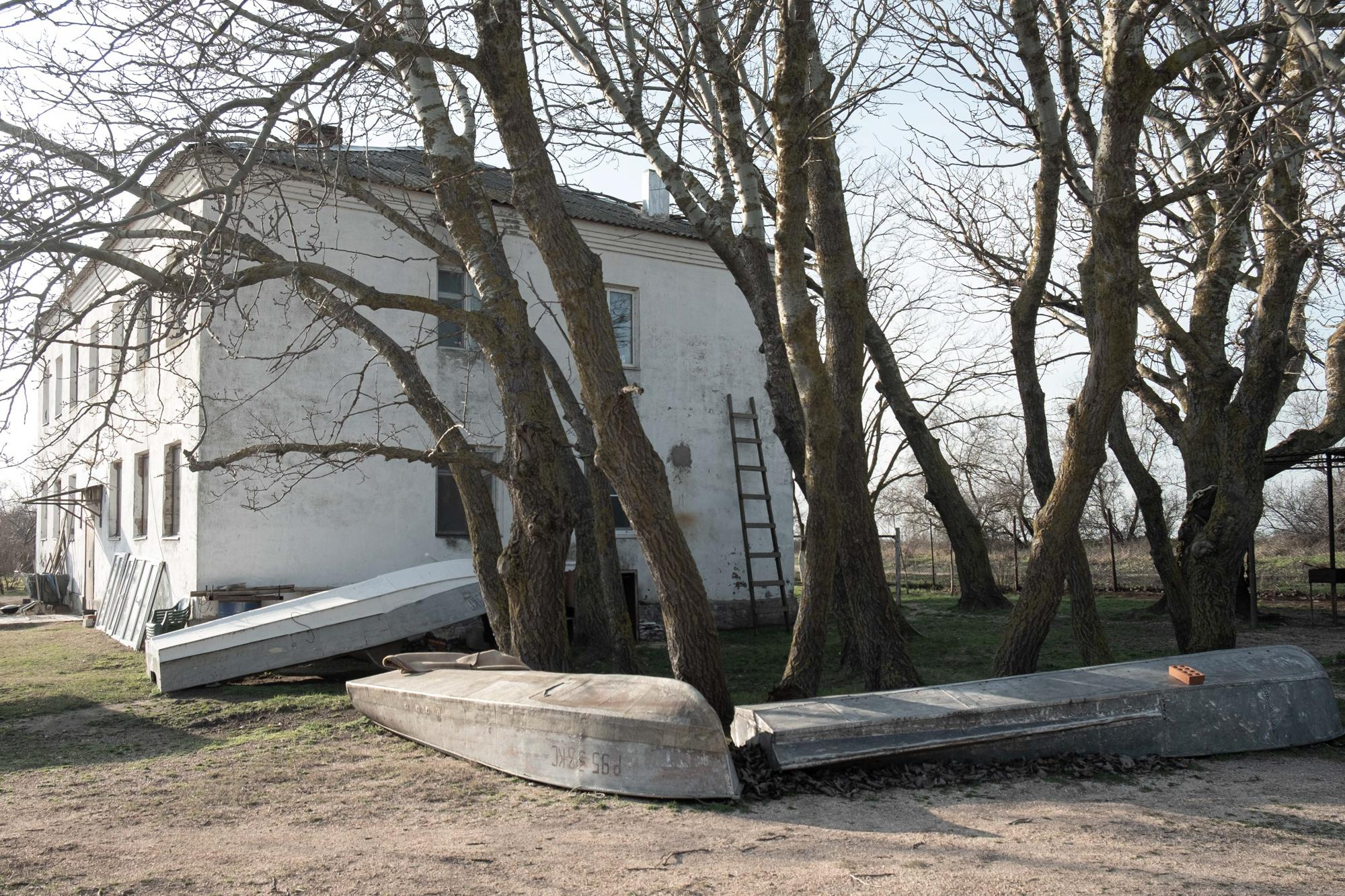 For whom the maistra blows?. Natasha Lozinskaya | Photographer
