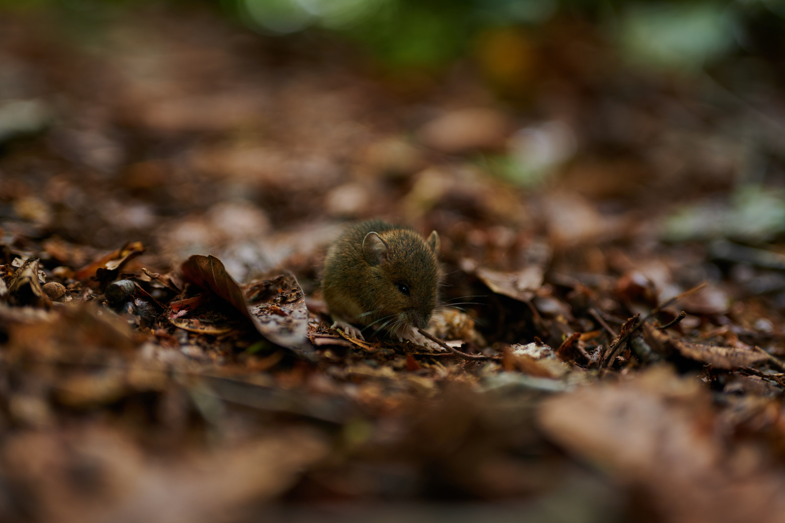 Photographer Yulia Lushnikova, Based in Valencia