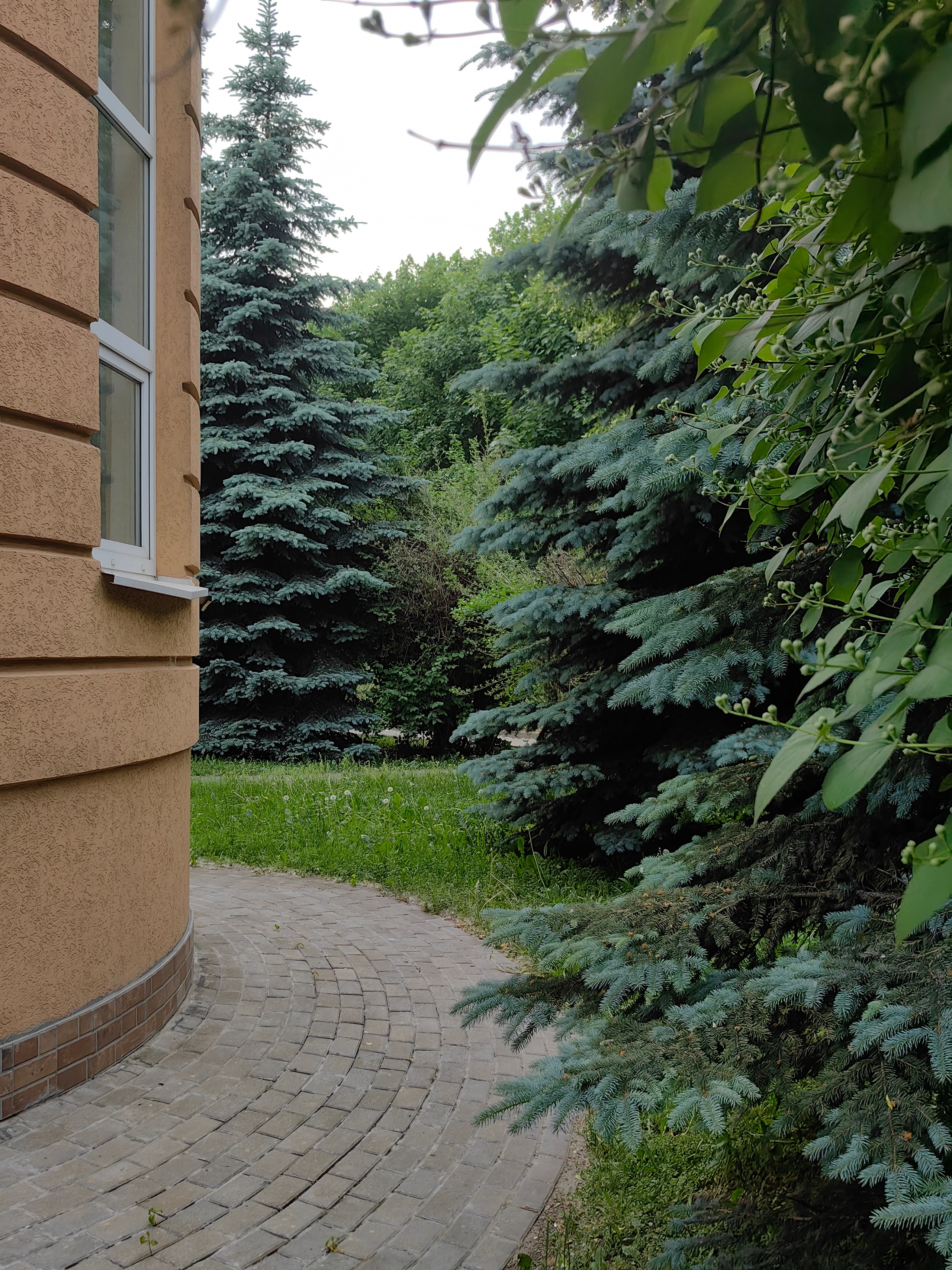 Парк ЕКАТЕРИНИНСКИЙ обзор. Фотограф в Москве и Московской области (Ю-В) Олеся Макарова