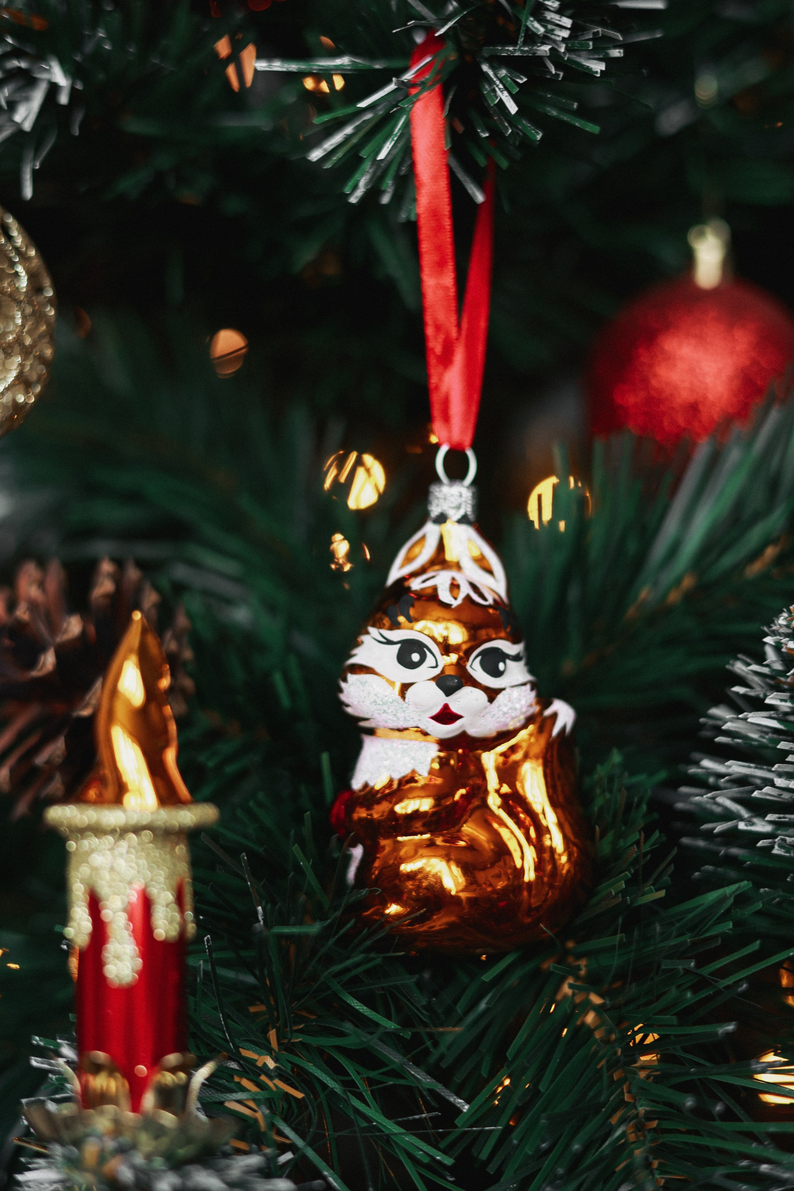 Контент фотосессия в Москве. Мария Рослякова. Портретный и семейный фотограф в Москве Мария Рослякова