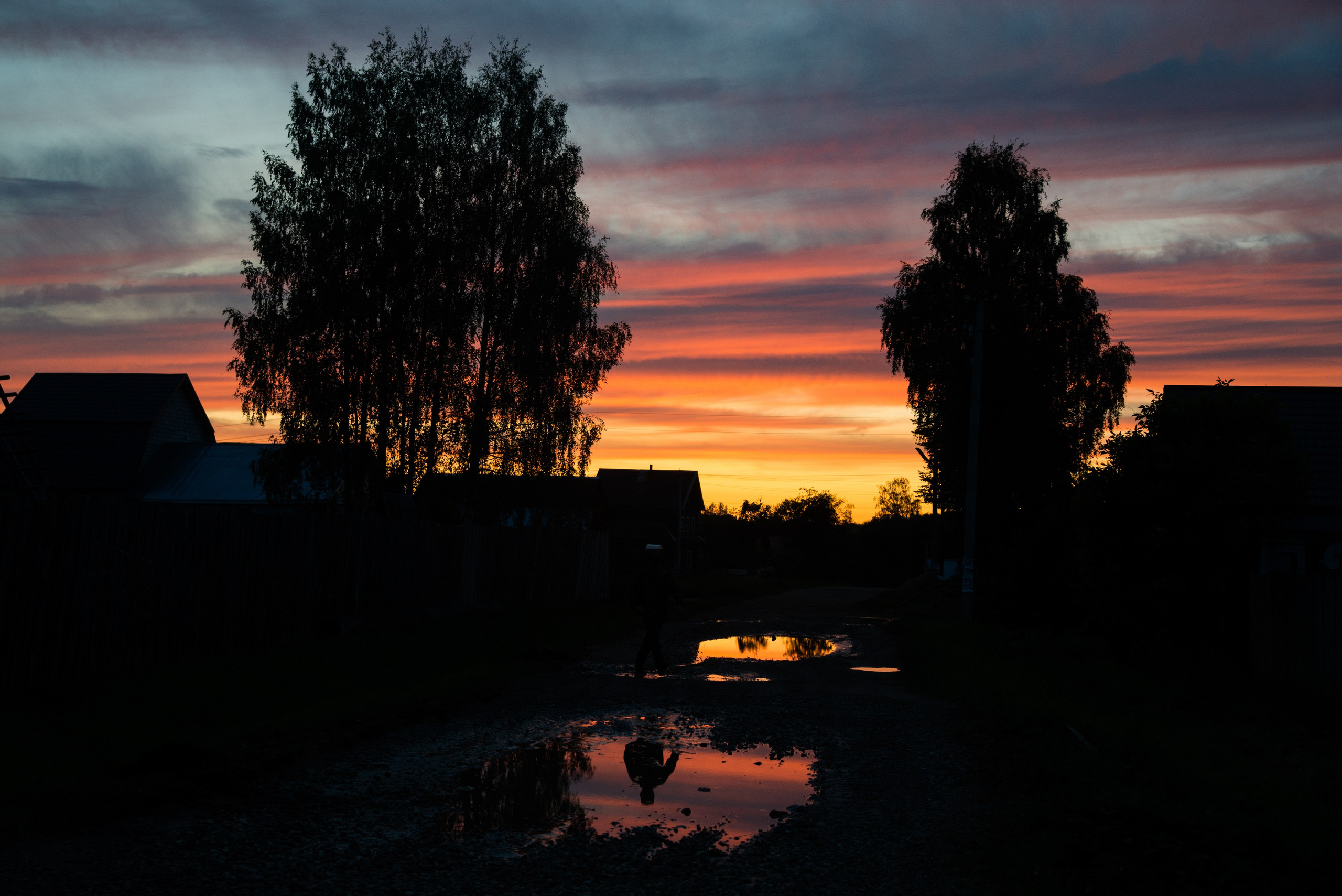 Where the sun shines. Alyona Kochetkova | Photographer and photography educator