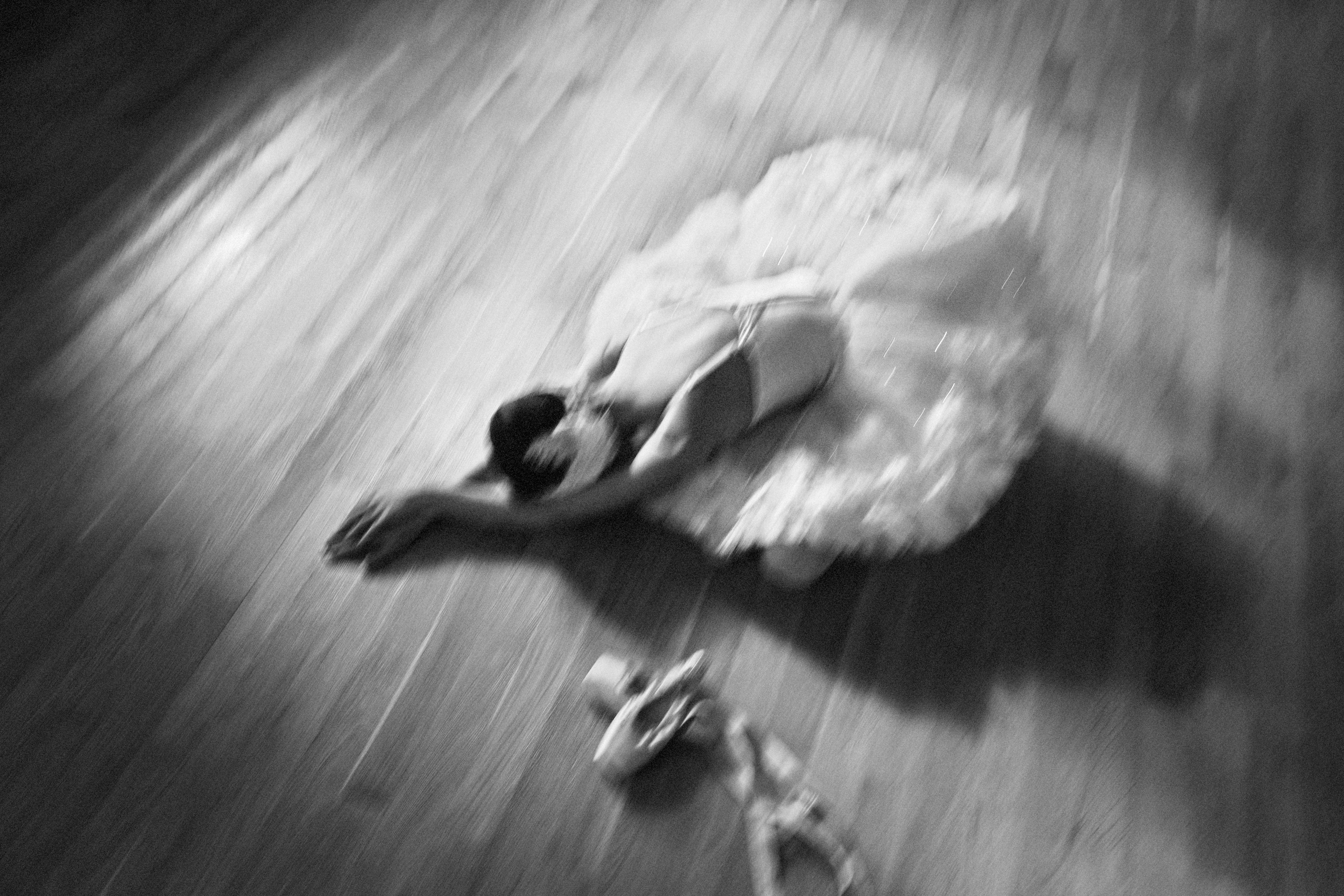 Одуванчики в пуантах. Женский семейный фотограф Тула Москва Захарова Анна