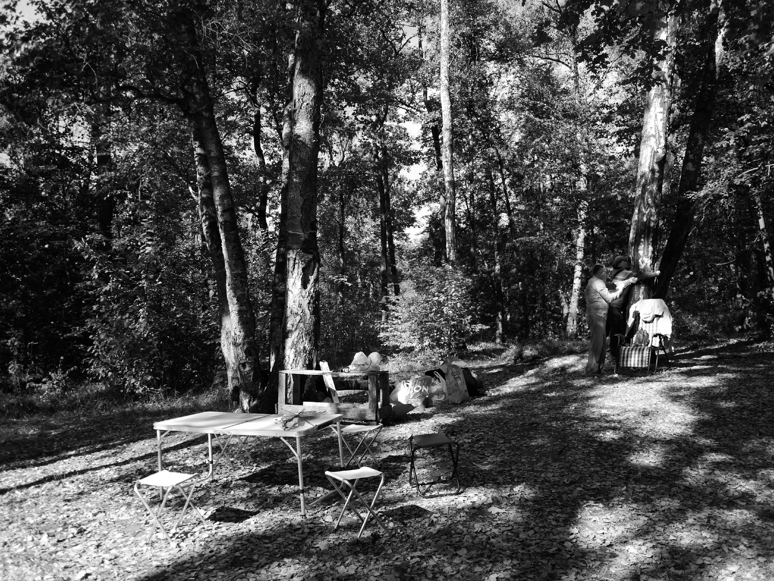 Обнинск 21.09.2024. Фотострелка