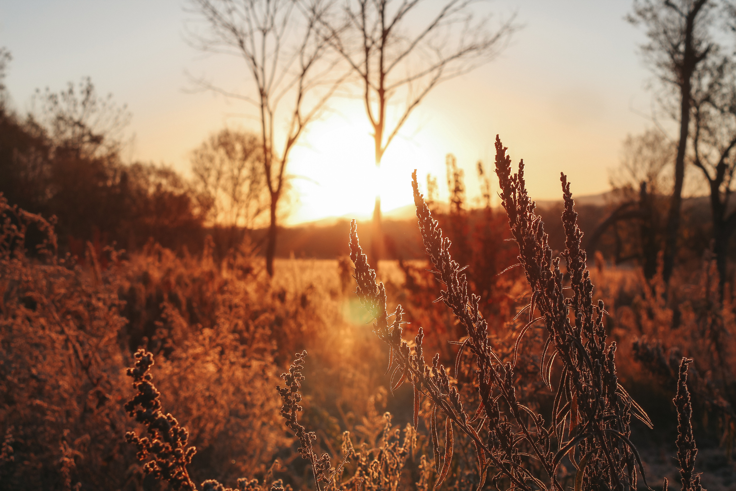 Фото-тур с фотографом на Мыс Четырех скал