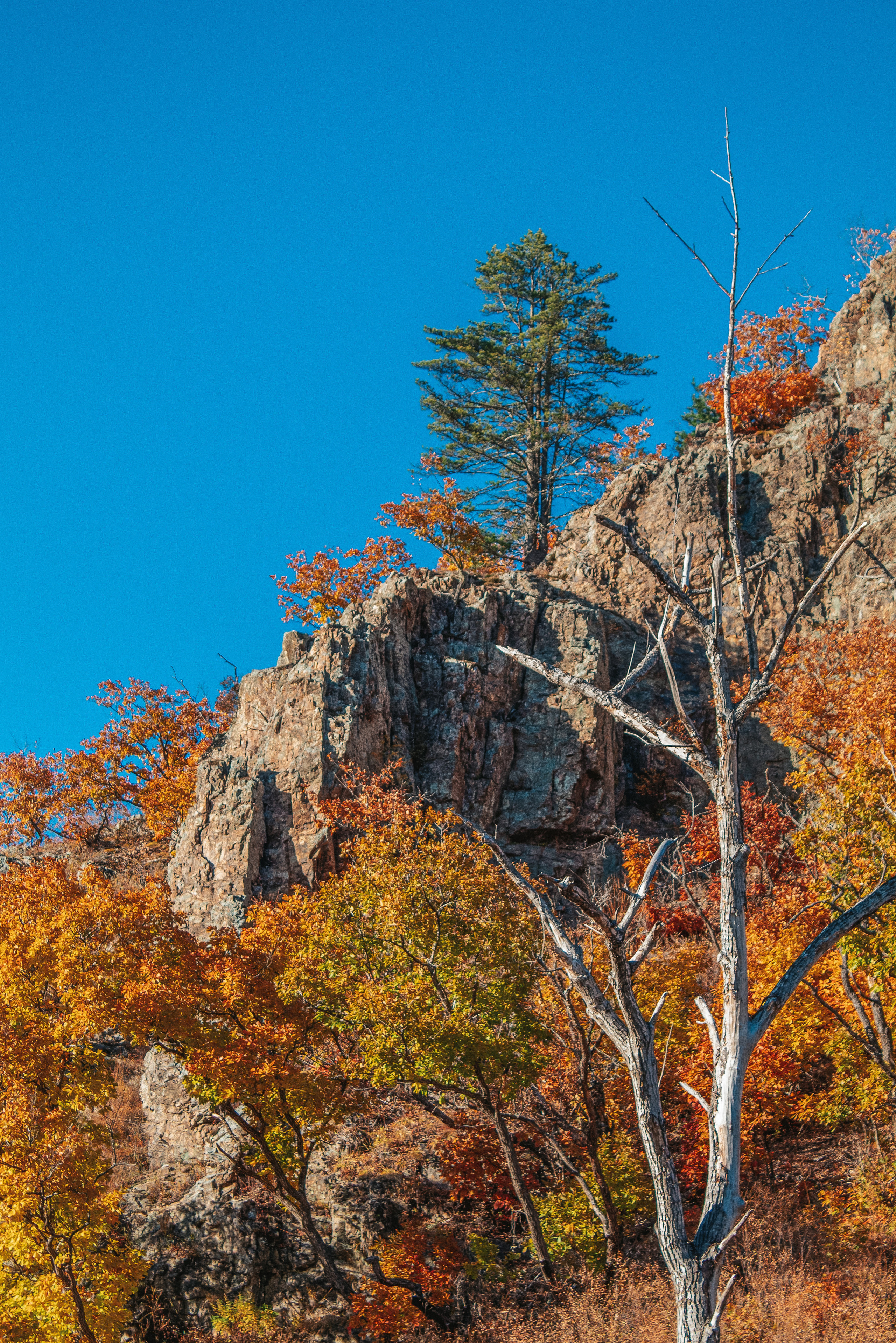 Фото-тур с фотографом на Мыс Четырех скал