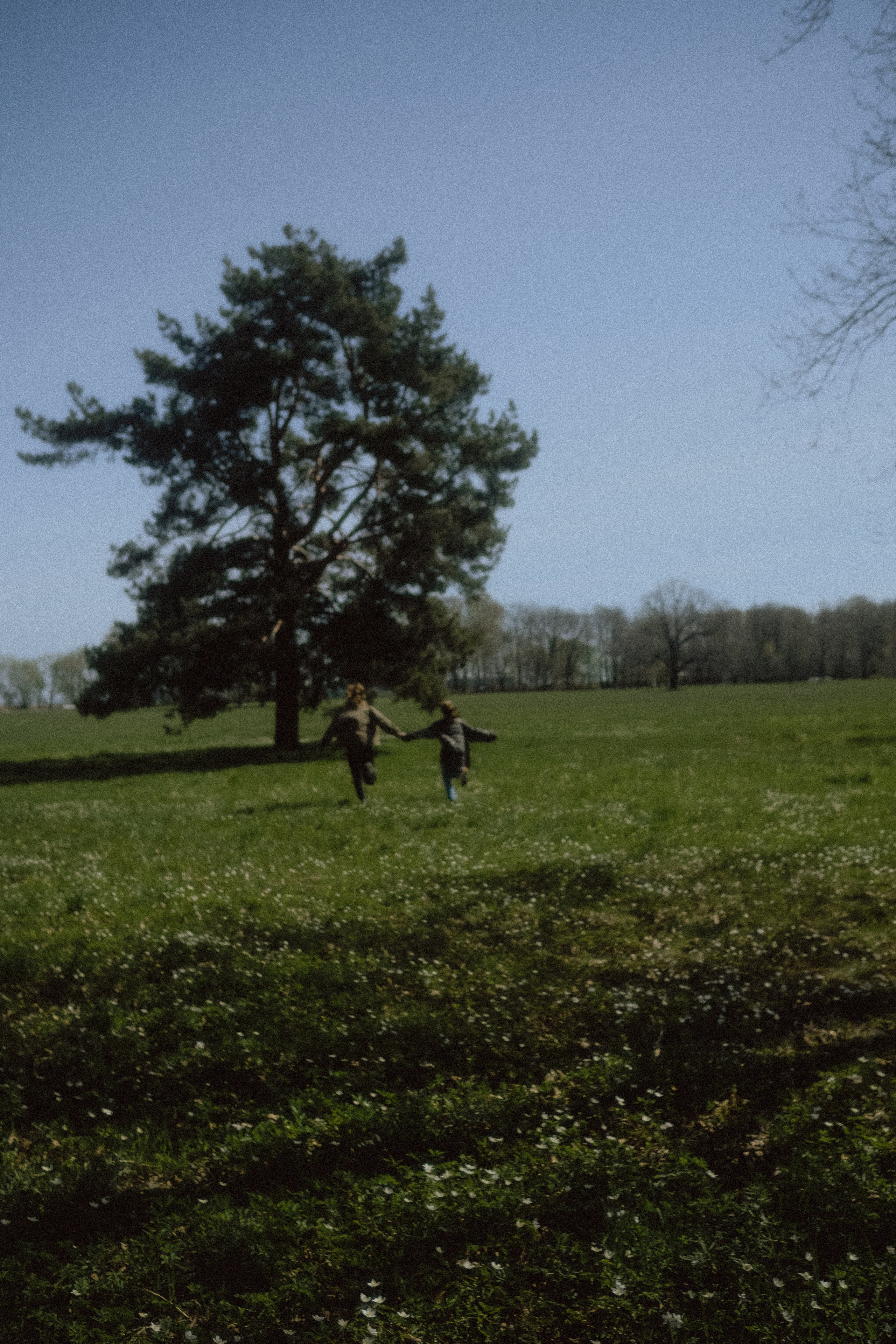 Услуги. Главная