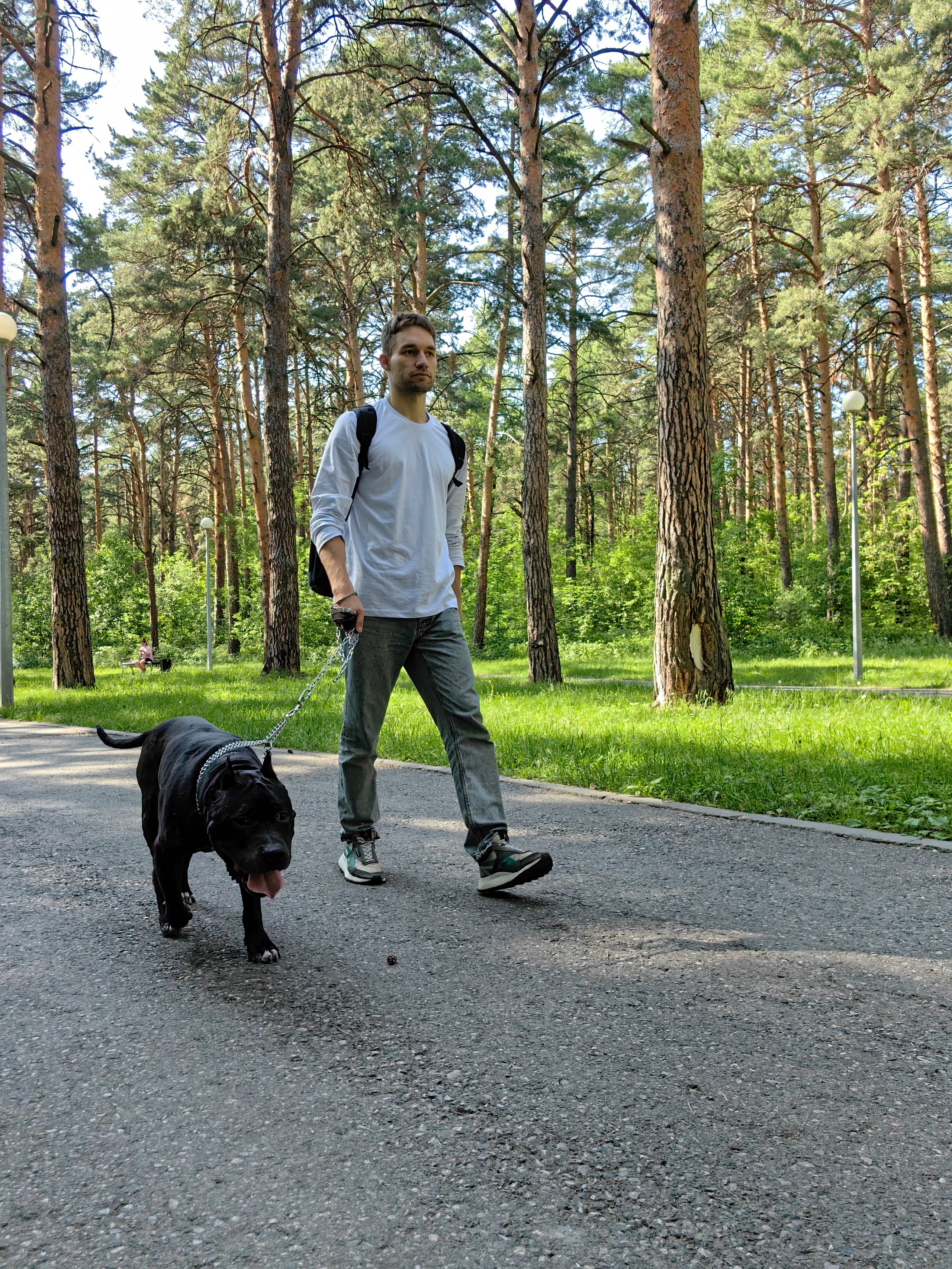 Кирилл, Василиса и Блэк