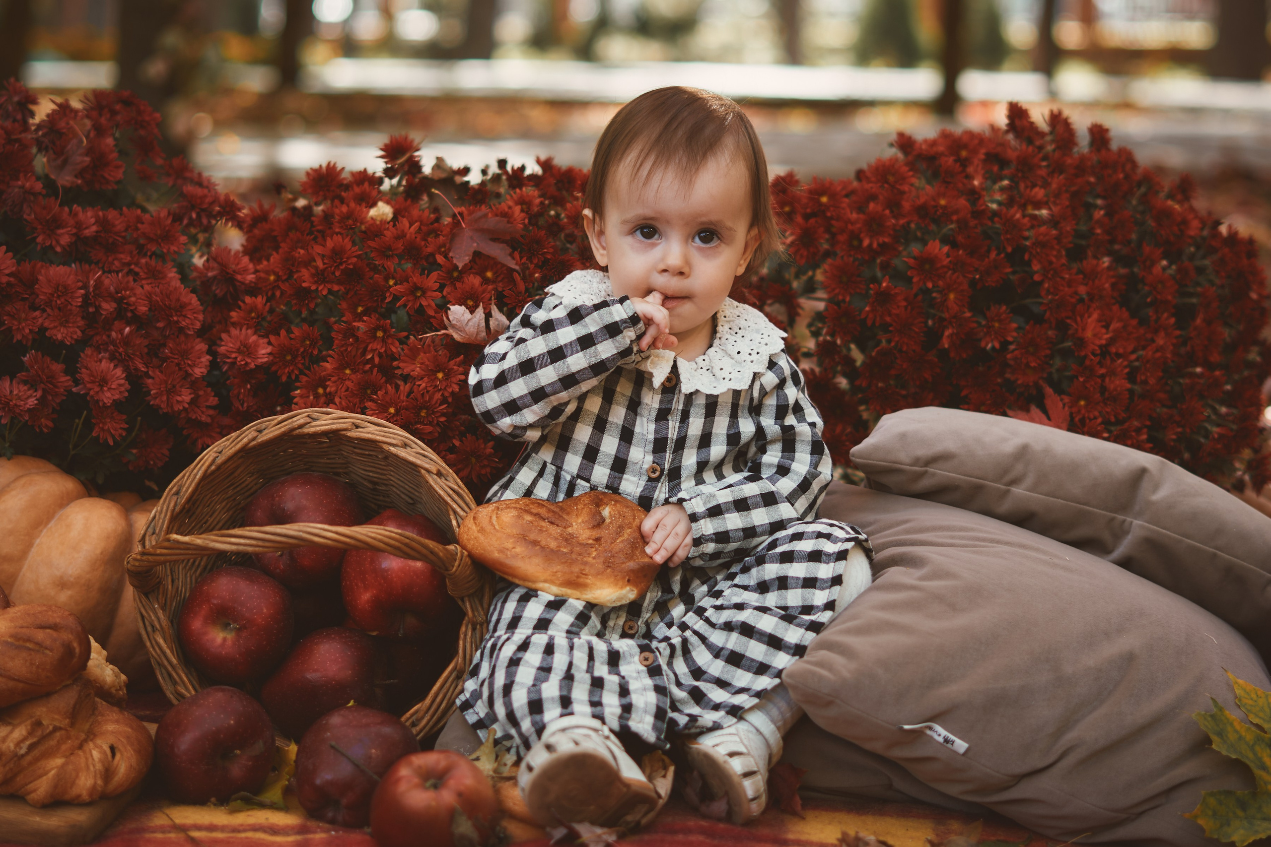 Осенняя фотосессия 2024. Петр Ступень. Свадебное, семейное фото и видео. Москва. Краснодар