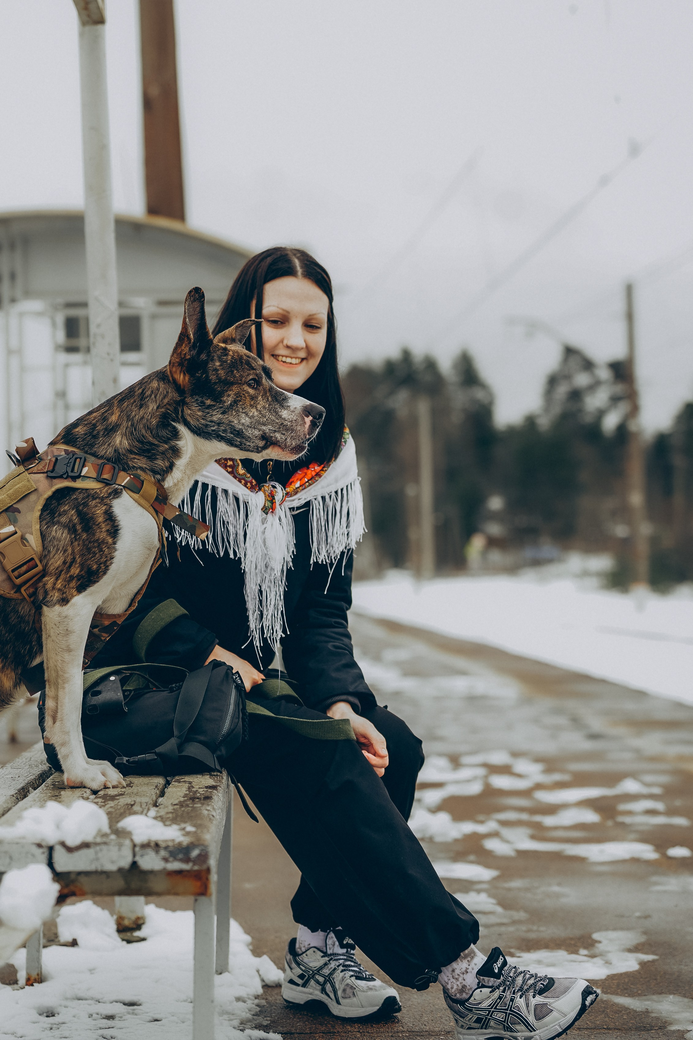 Гарм и Юна. Фотограф анималист в Спб недорого Олеся Майорова