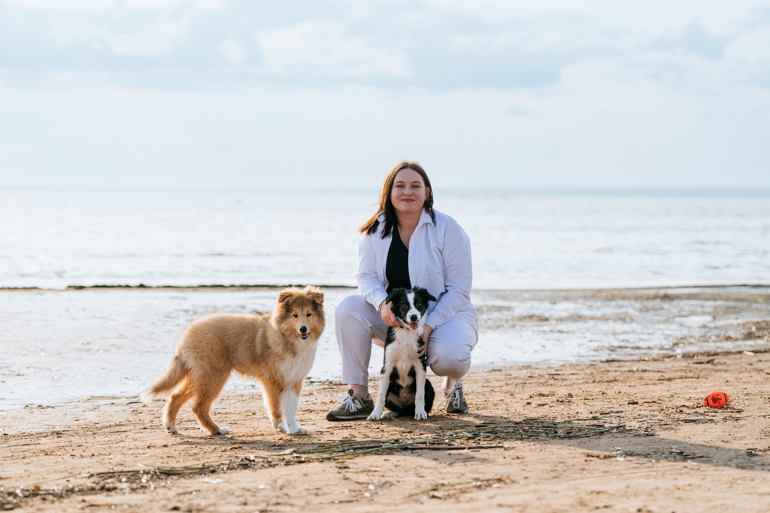 Фотосессия со щенками колли. Фотограф анималист в Спб недорого Олеся Майорова