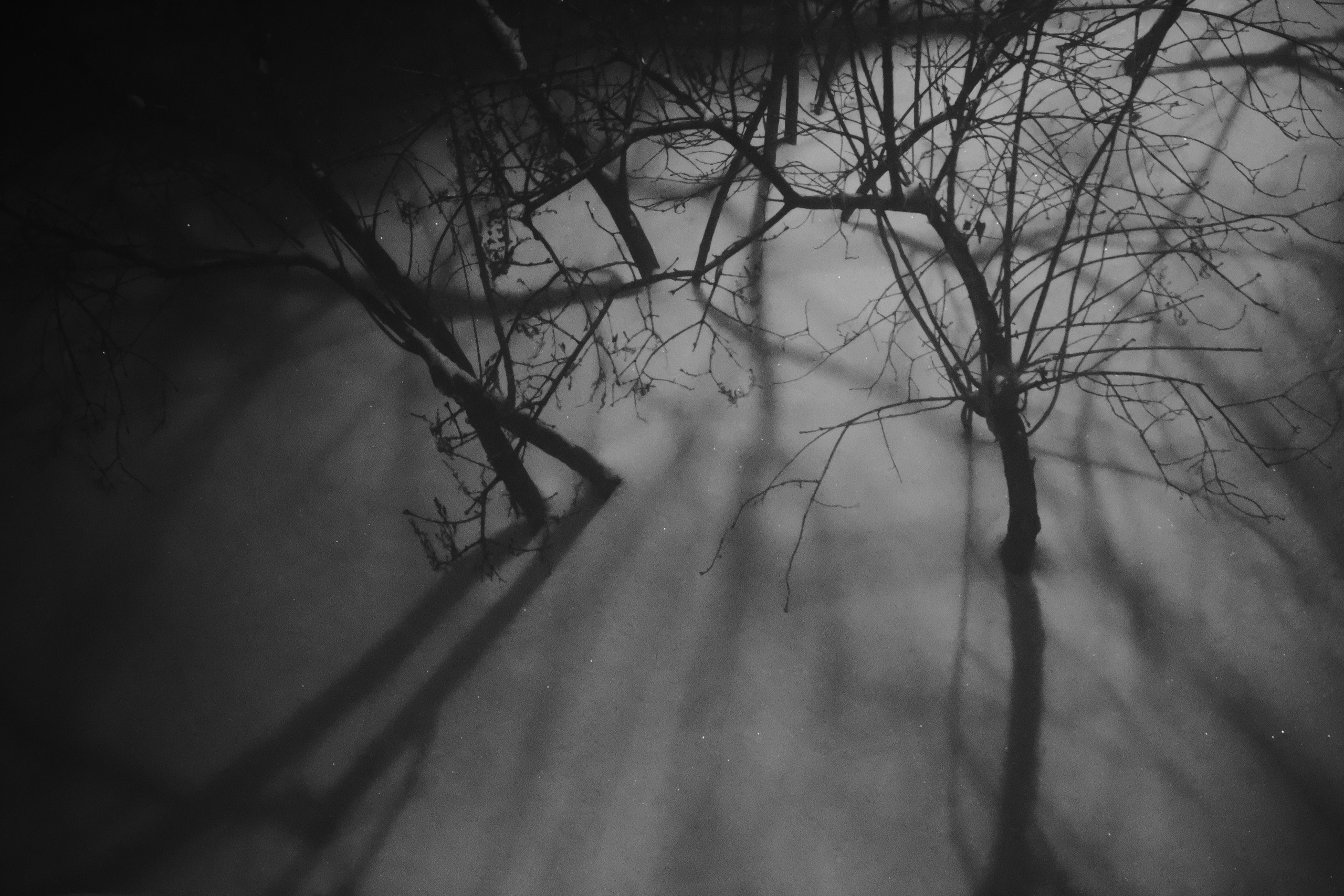 Тени зимы❄️. Миша Печёнкин | фотография
