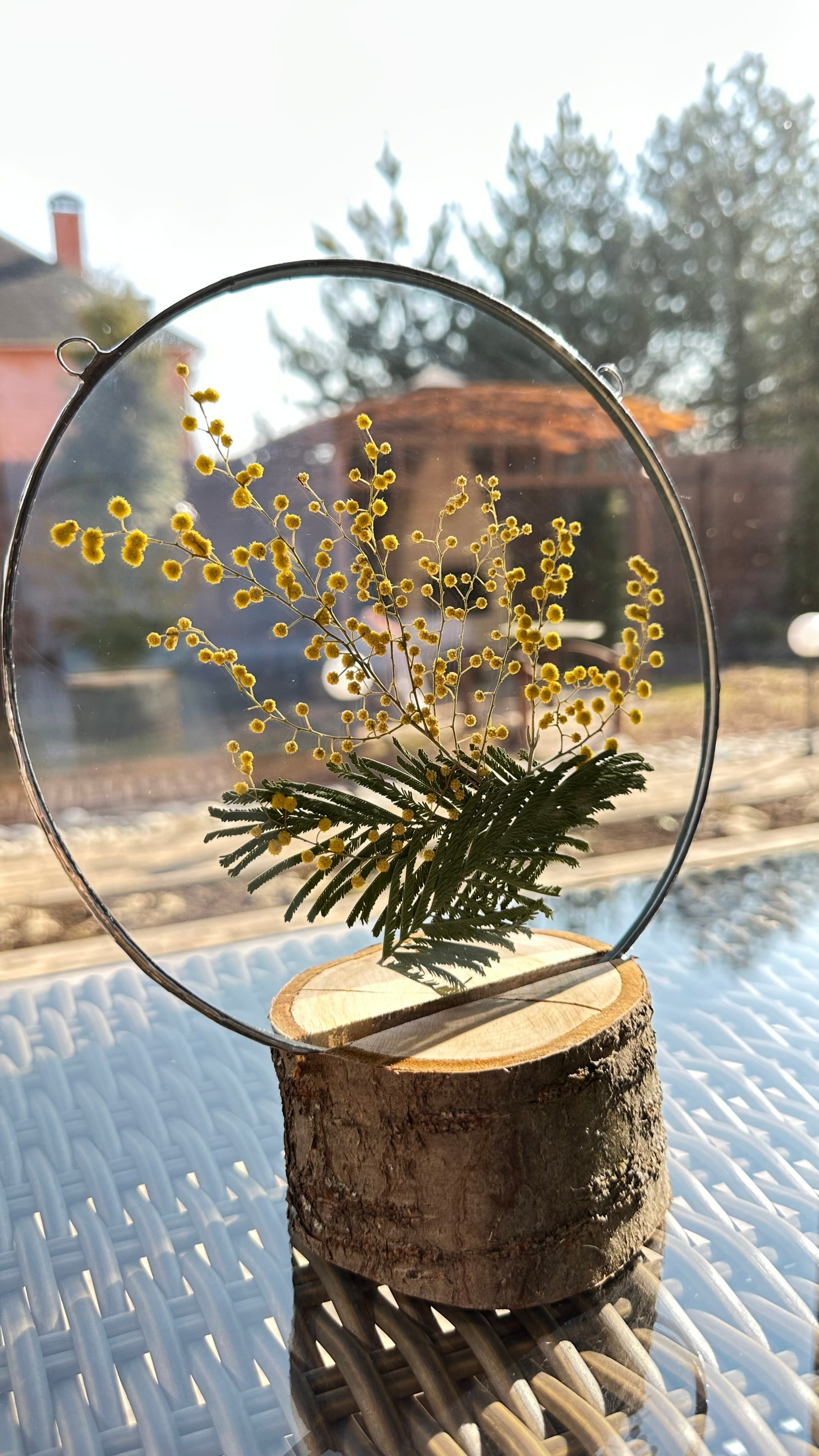 Мимоза круг 20 см. Оформляю пространства. Витражи с сухоцветами в технике Тиффани