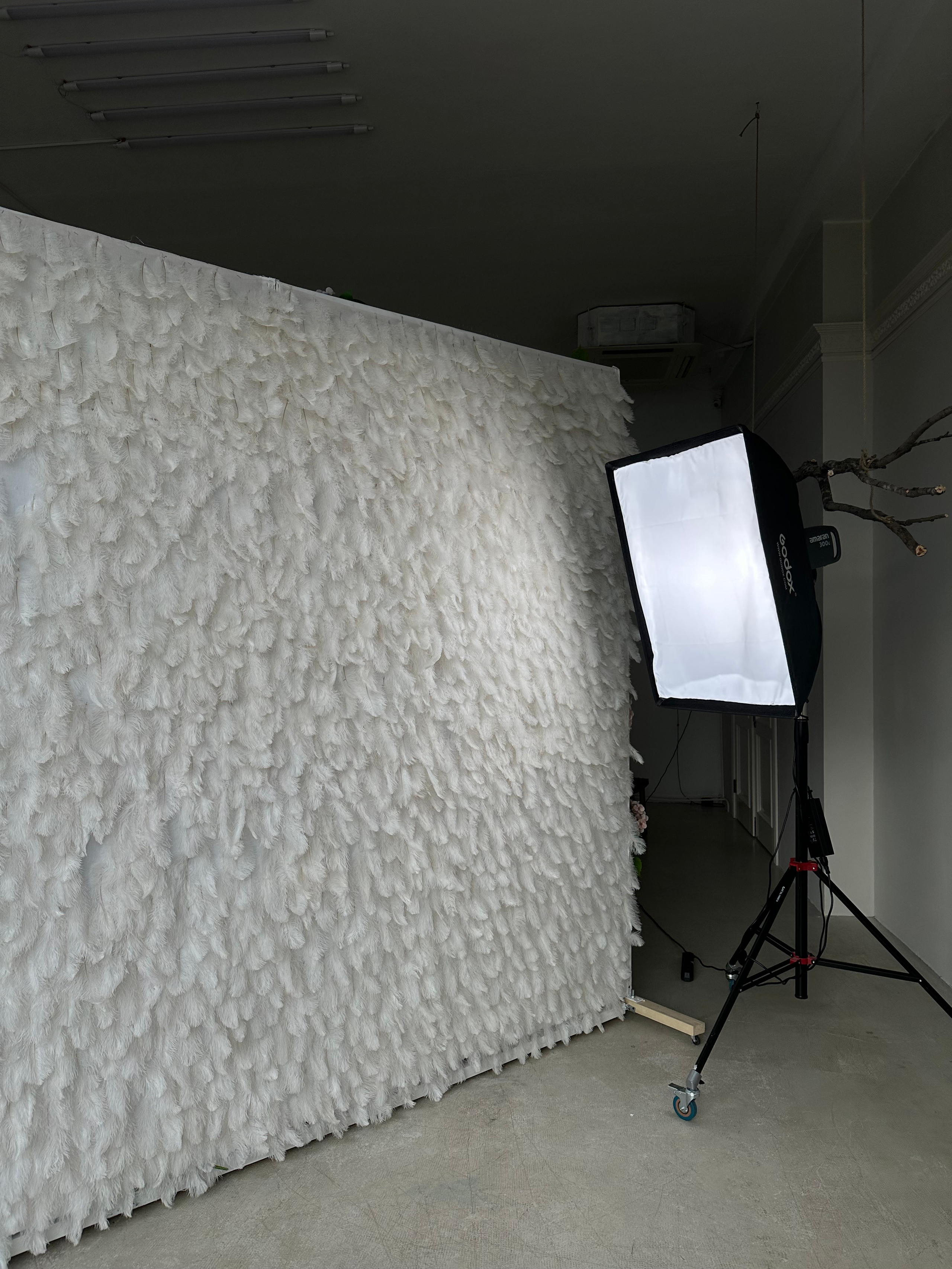 Фотосессия беременности в фотостудии Gallery. Фотограф Красноярск