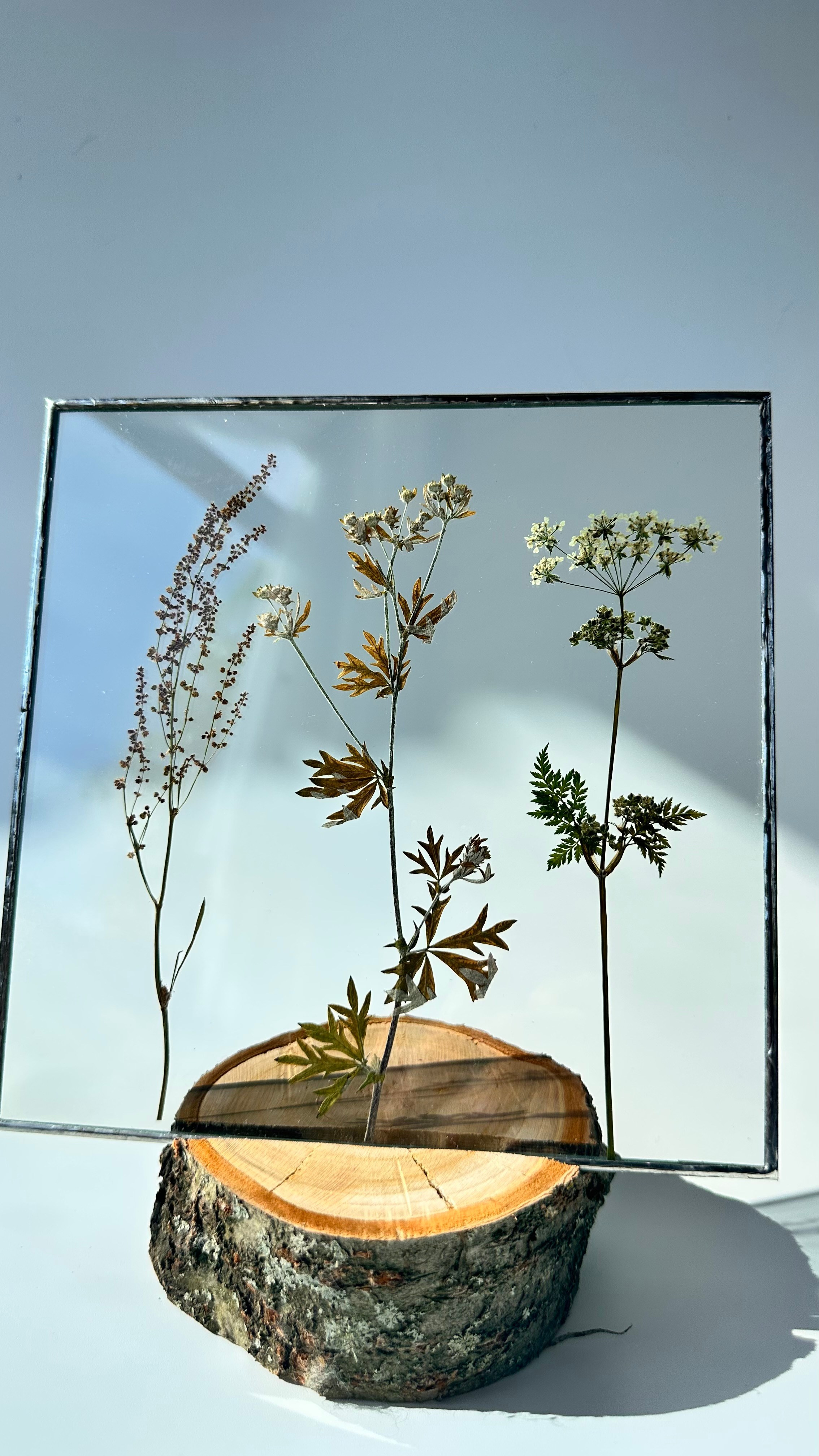 Селигер Квадрат 20 см. Оформляю пространства. Витражи с сухоцветами в технике Тиффани