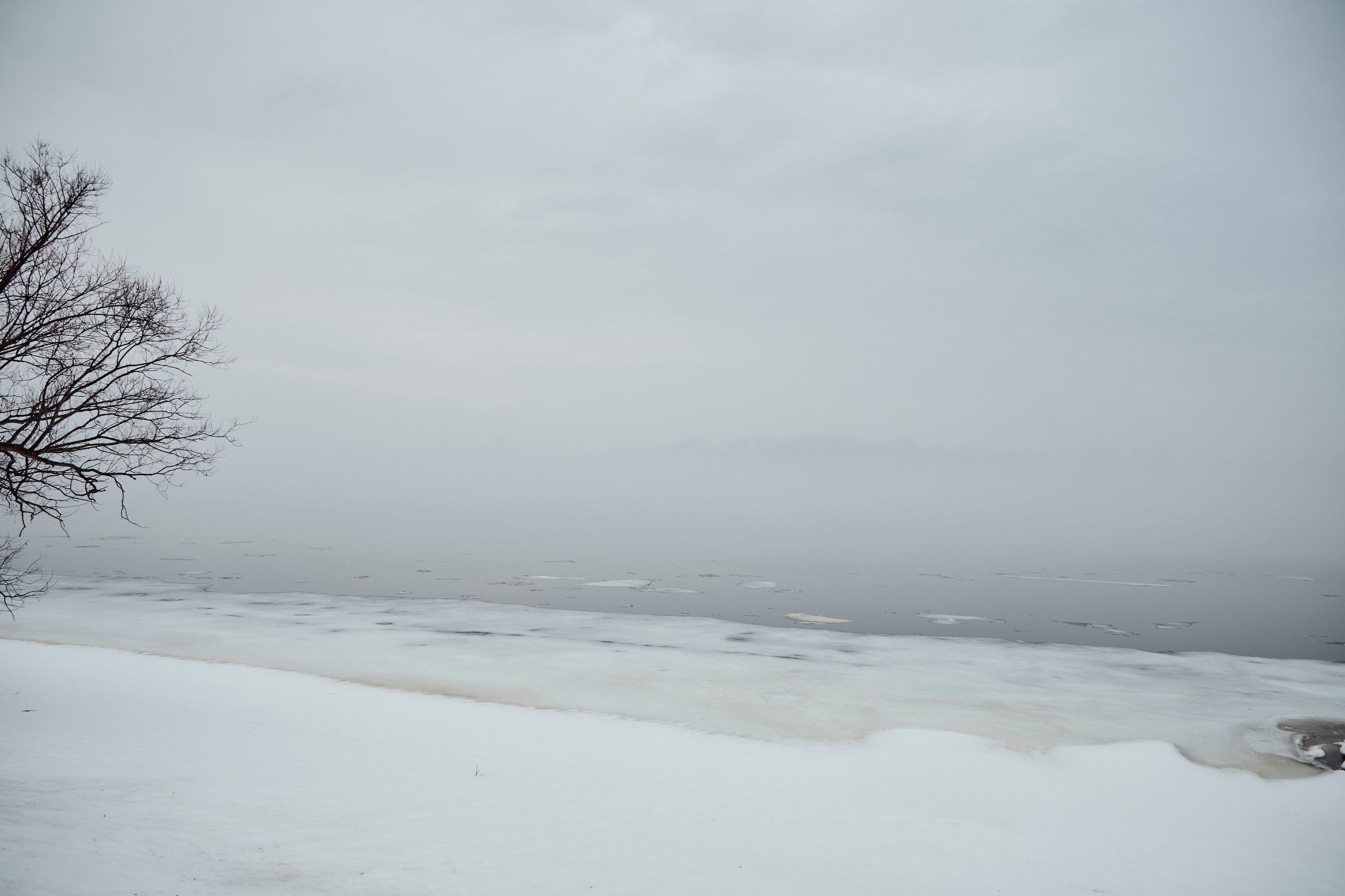 Дискуссионный клуб «Попутного ветра» | Левитановский культурный центр. Плёс. OSPhoto