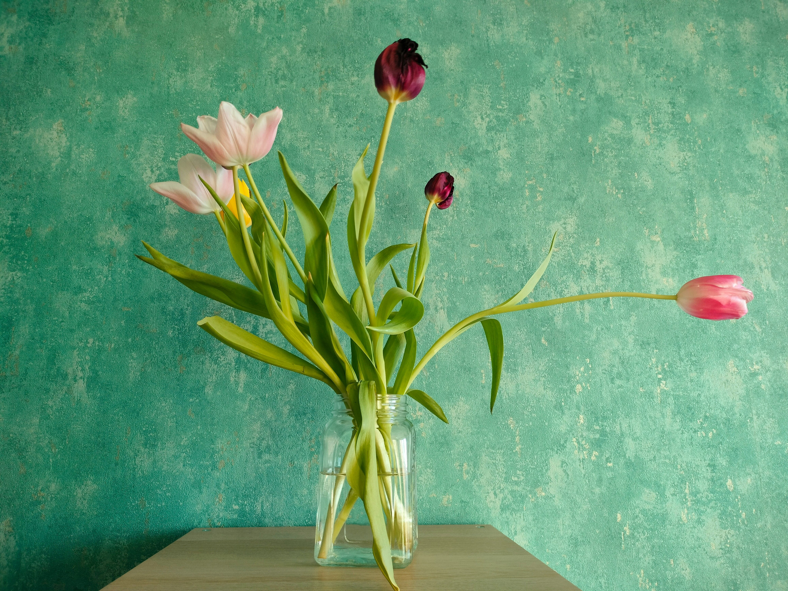 Цветочный магазин Ботаника78