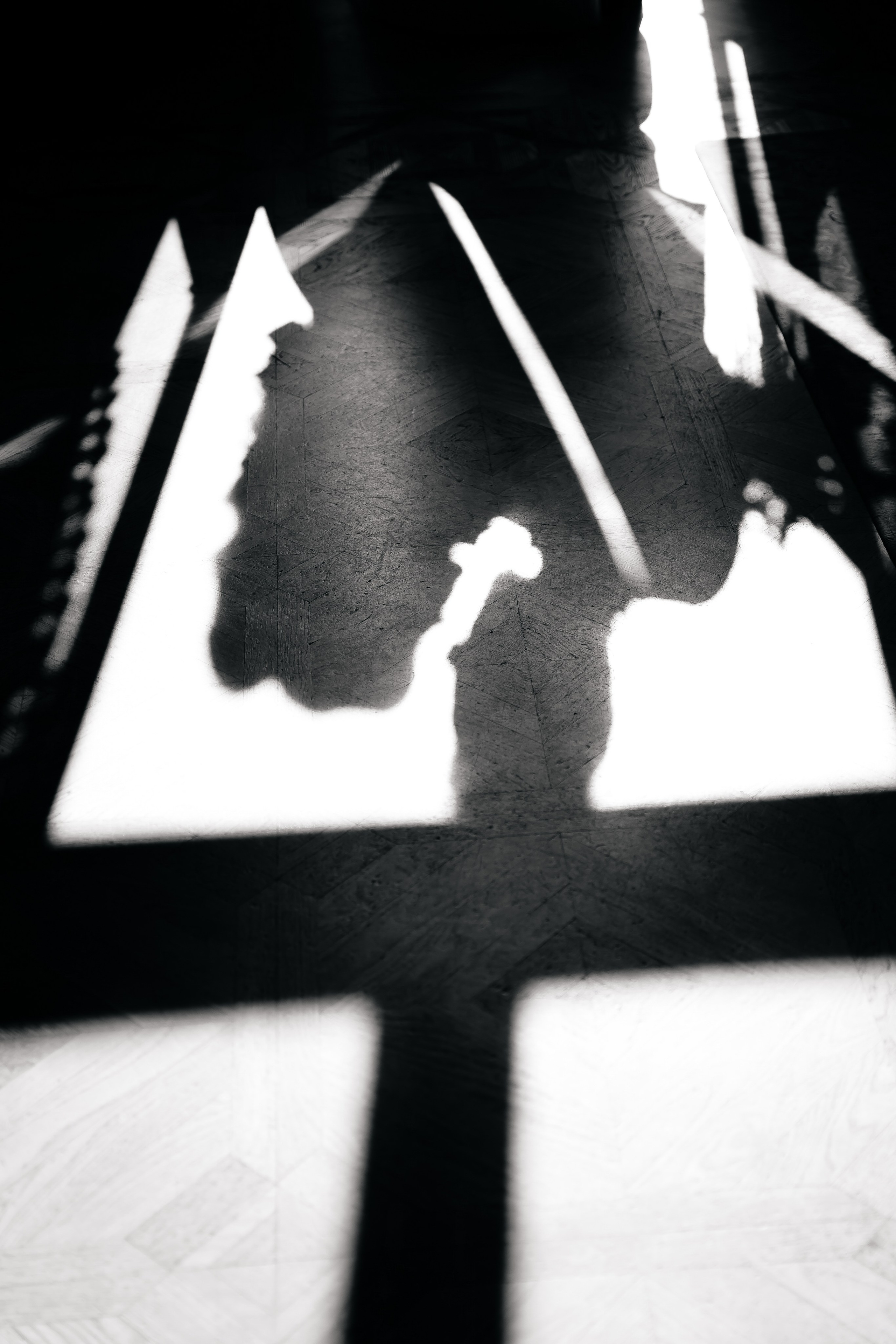 Драник и Сметанка. Свадебный Фотограф Минск || Фото и Видеосъёмка Минск || Другие города