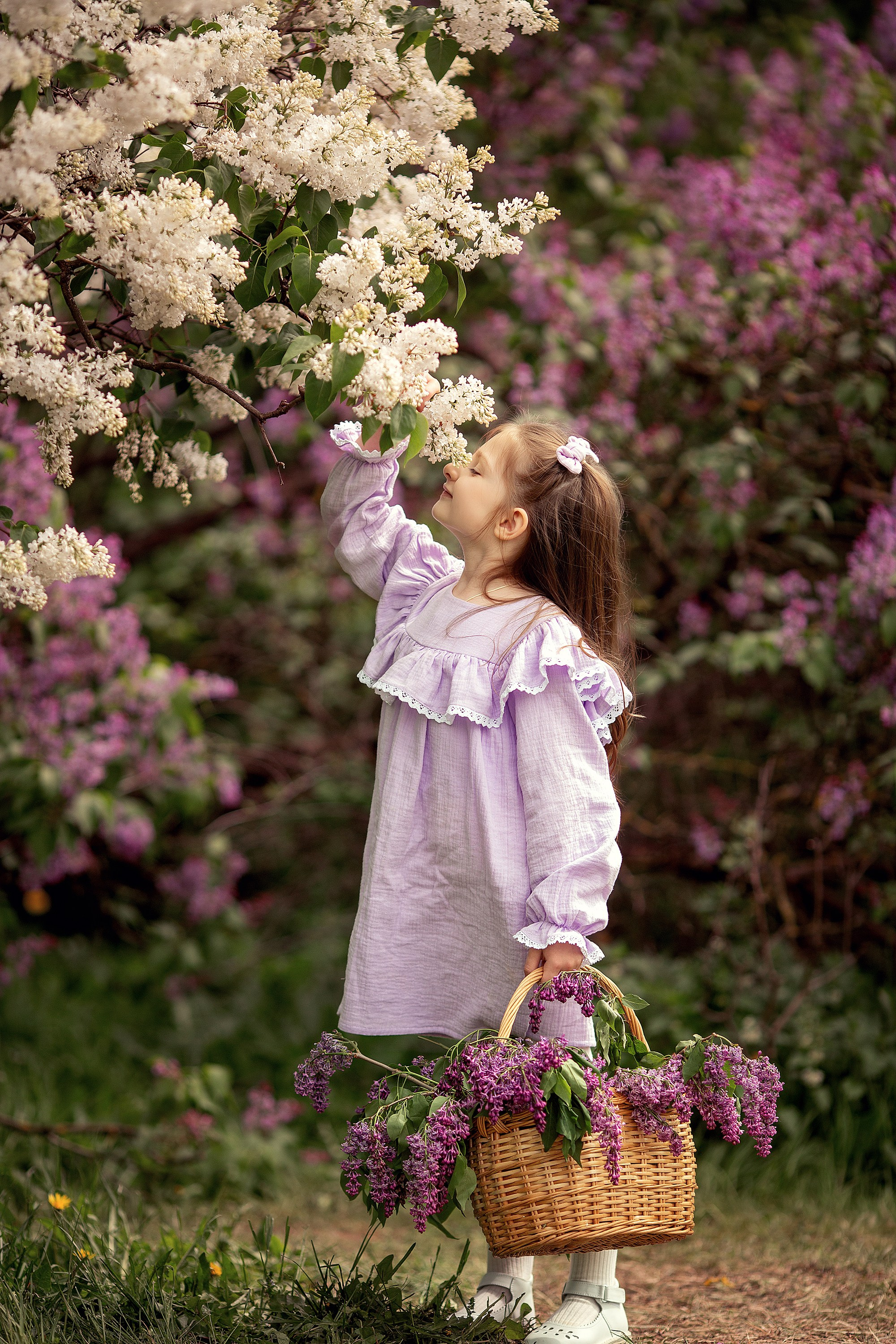 Красивейшая семейная история в цветущей сирени. Tatyana Nadezhdina Family photographer