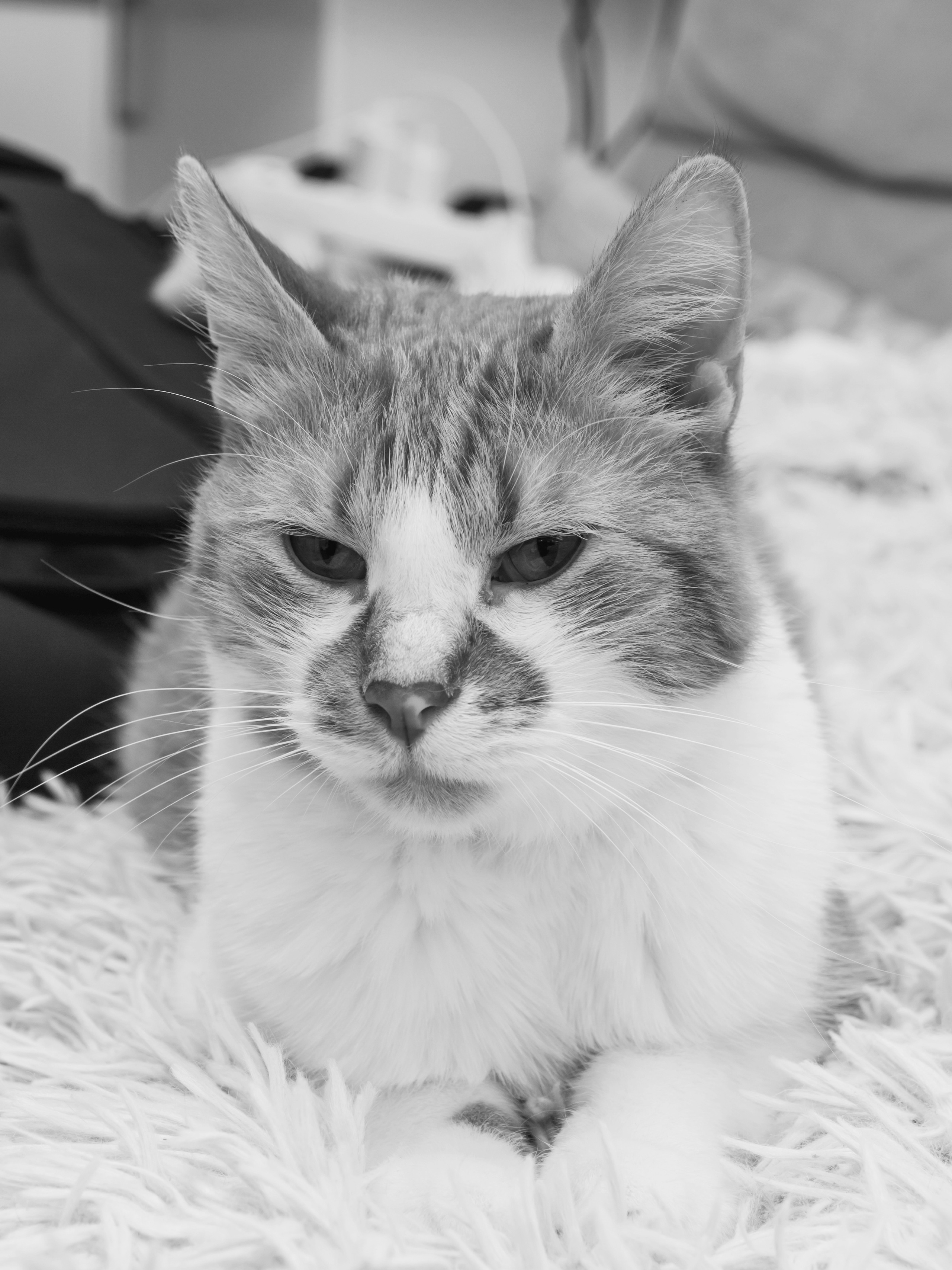 Свадьба Валеры и Веры. Предметный и семейный фотограф в Санкт-Петербурге Катерина Стеклова