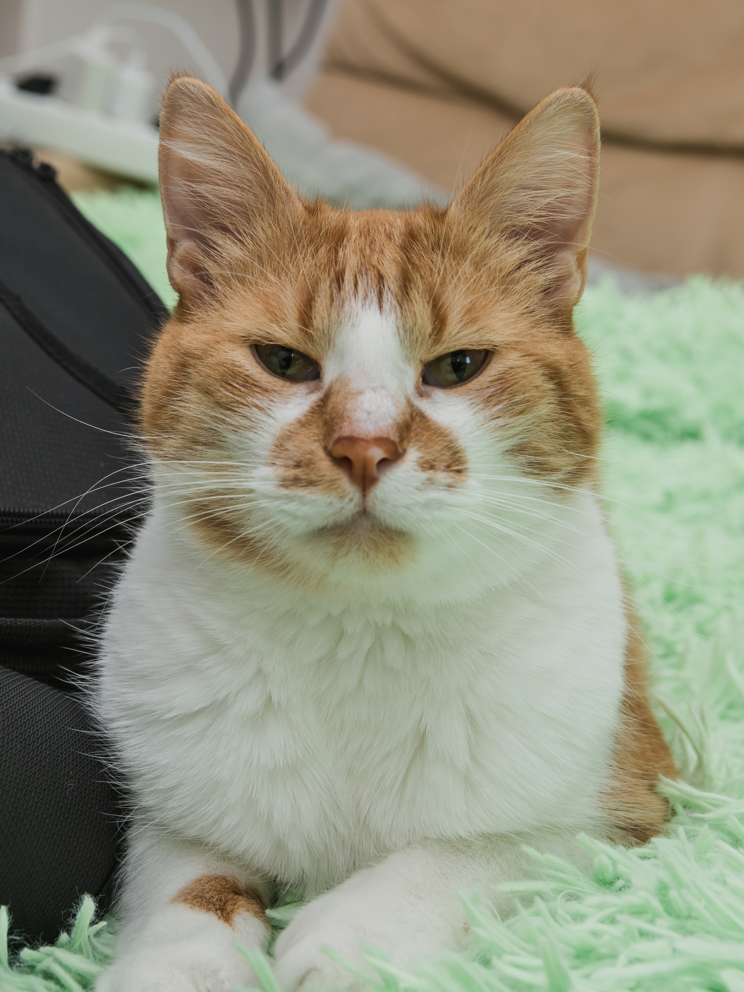 Свадьба Валеры и Веры. Предметный и семейный фотограф в Санкт-Петербурге Катерина Стеклова