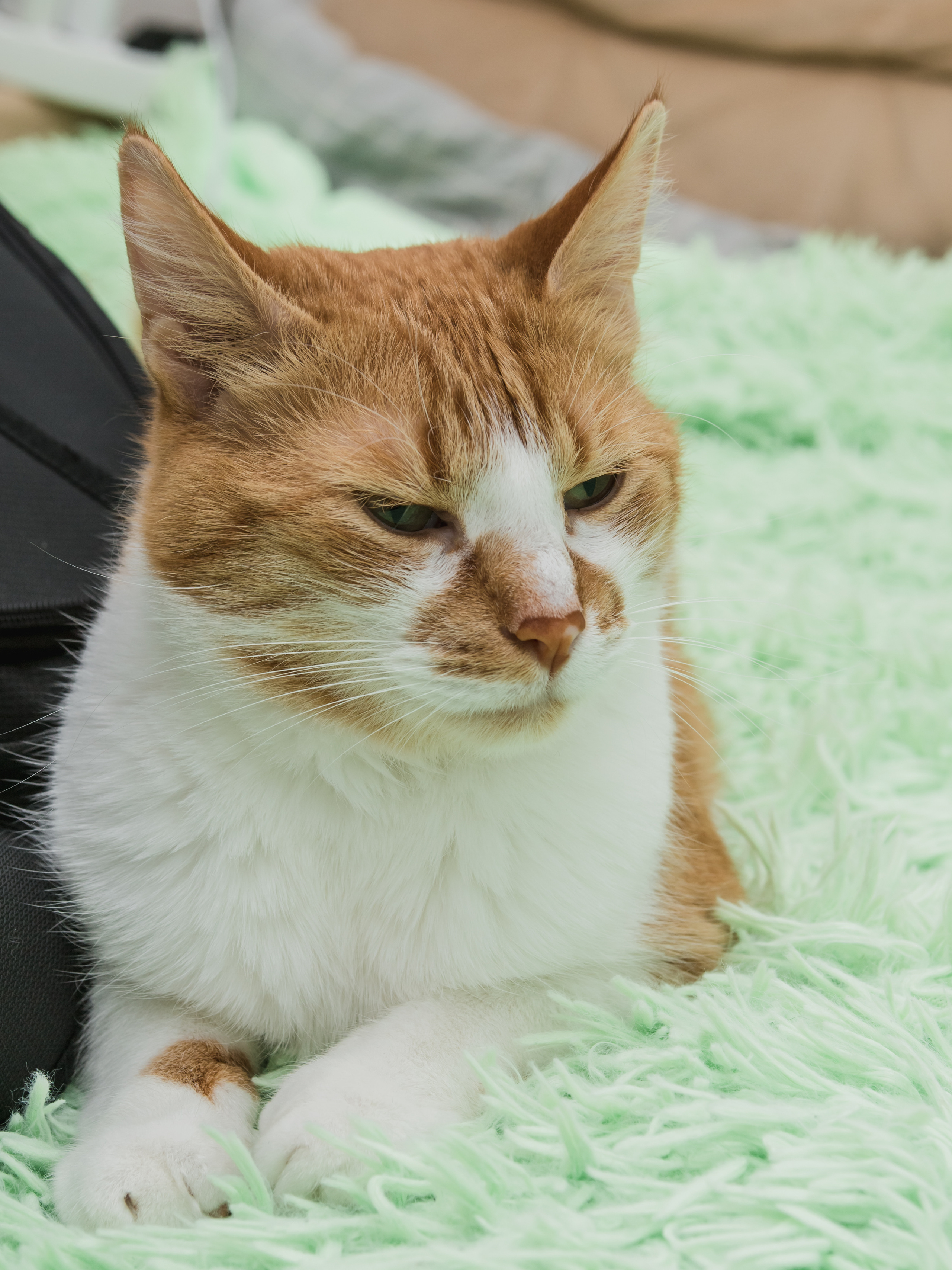 Свадьба Валеры и Веры. Предметный и семейный фотограф в Санкт-Петербурге Катерина Стеклова