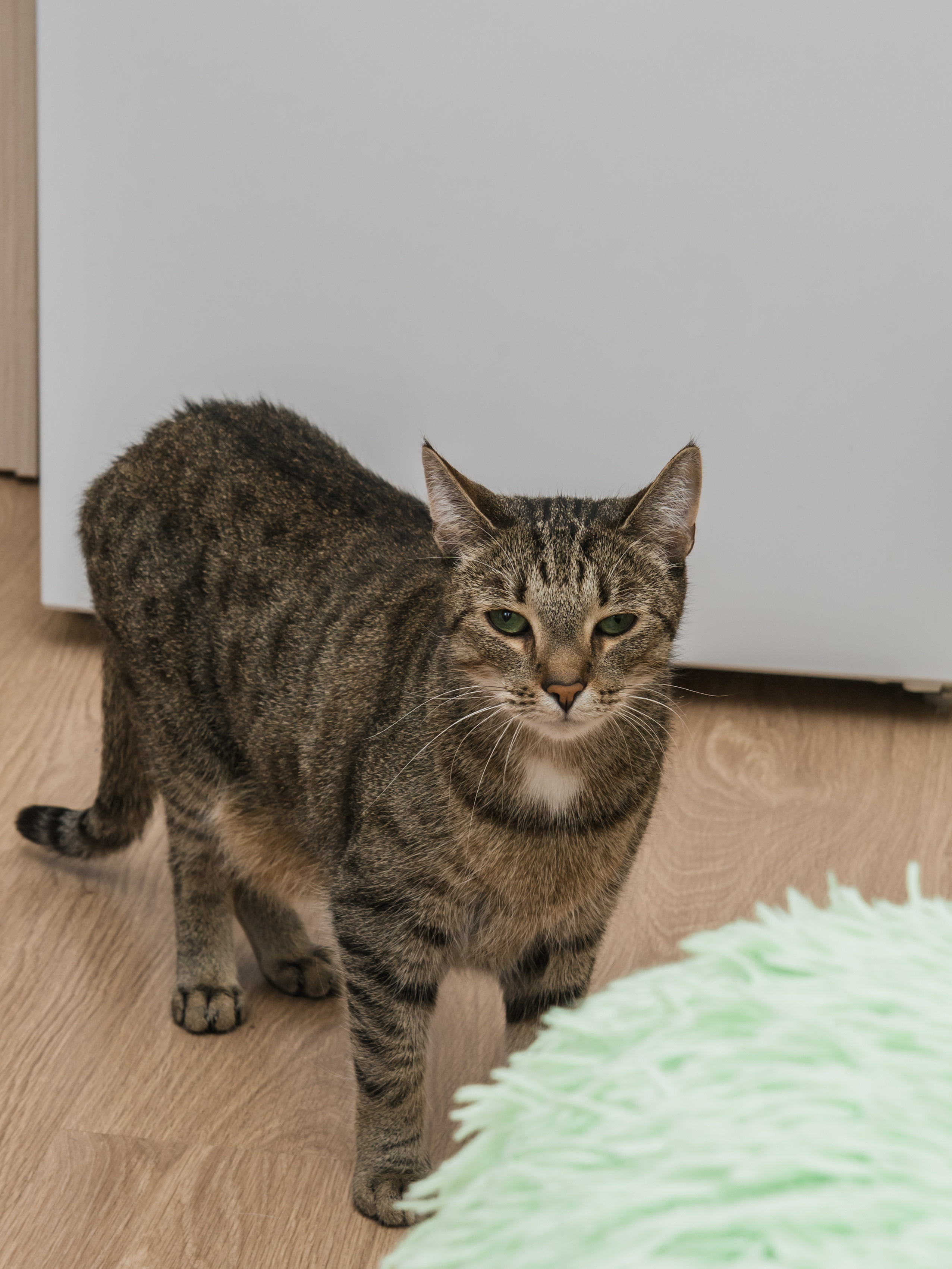 Свадьба Валеры и Веры. Предметный и семейный фотограф в Санкт-Петербурге Катерина Стеклова