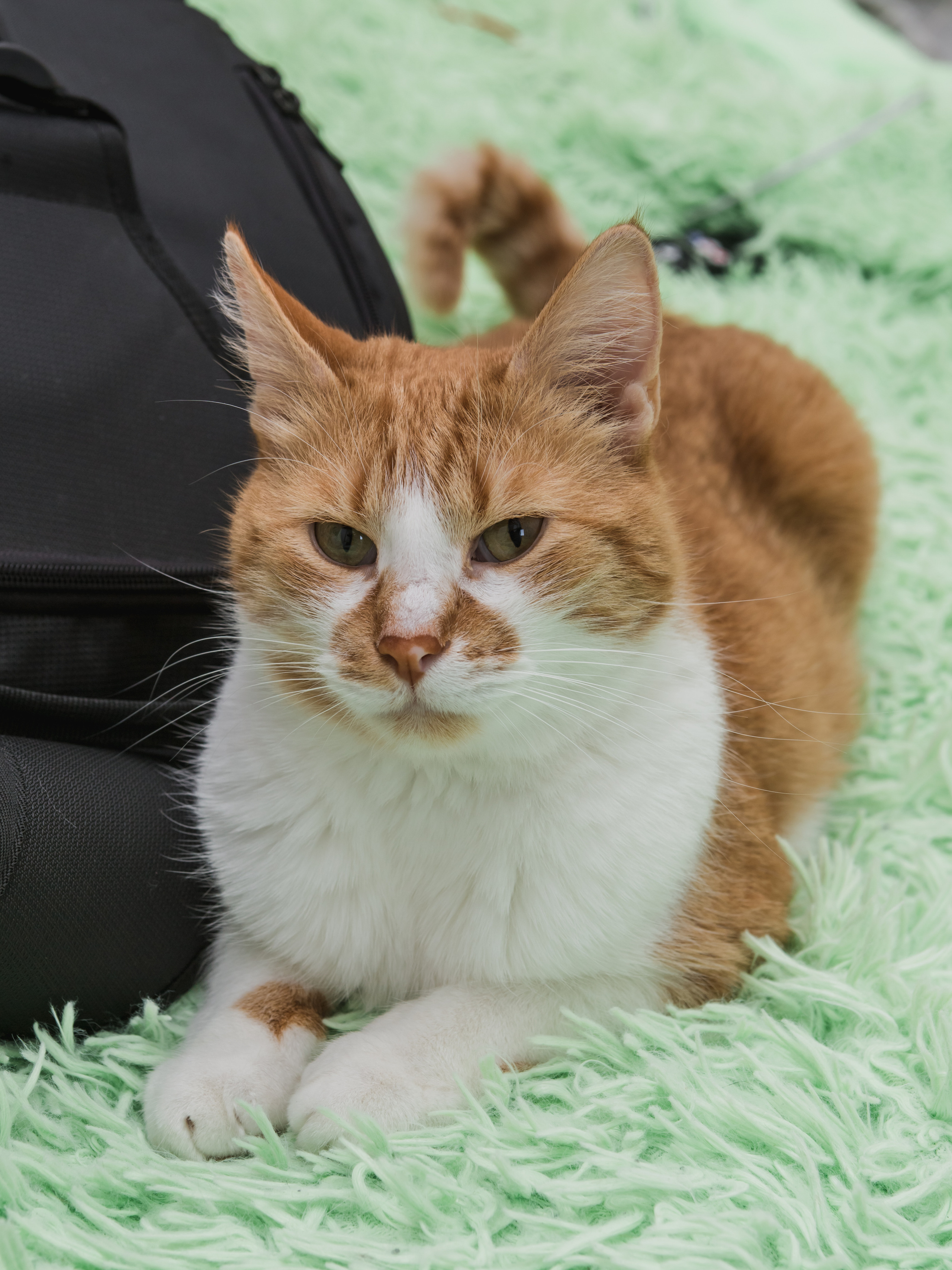 Свадьба Валеры и Веры. Предметный и семейный фотограф в Санкт-Петербурге Катерина Стеклова