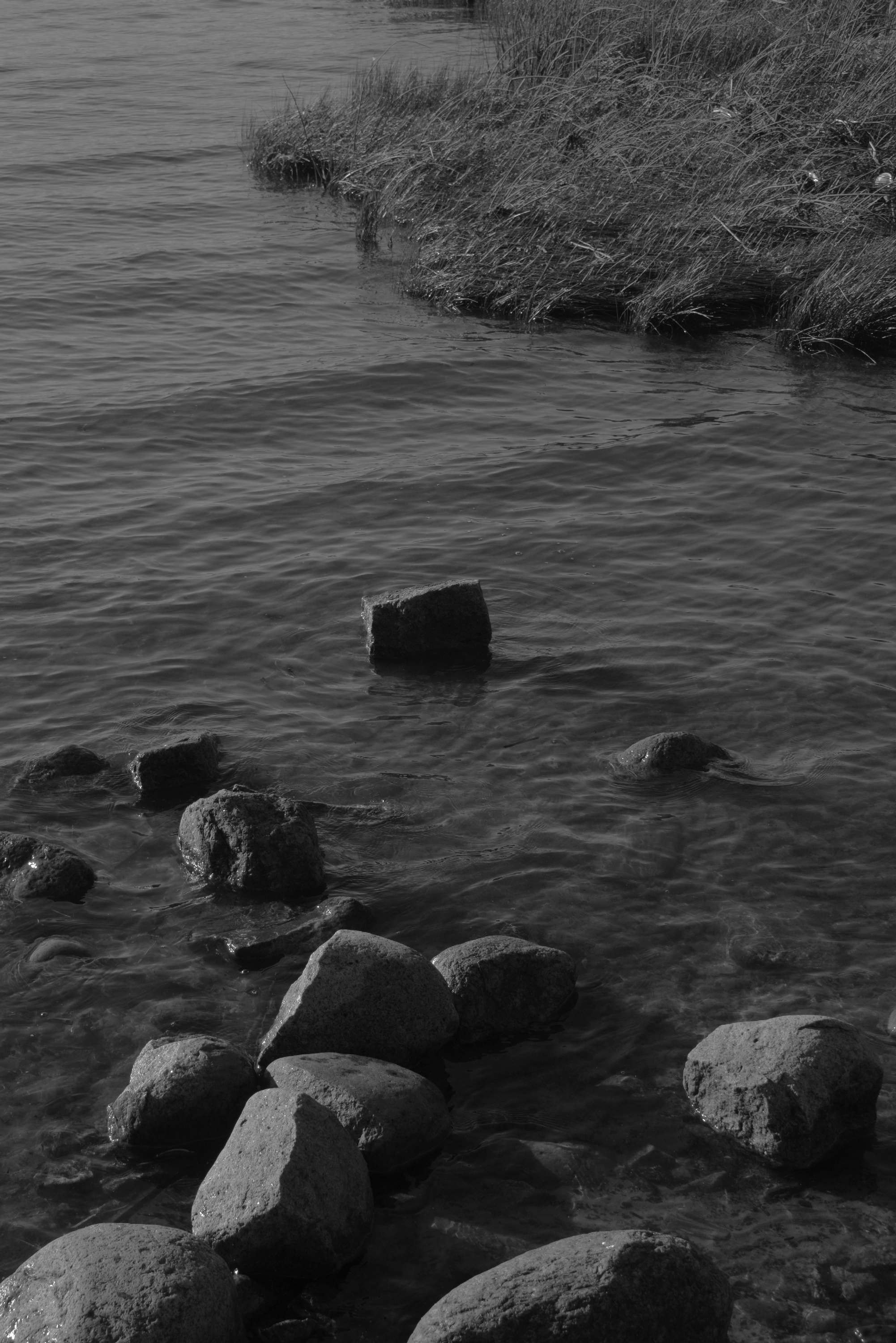 About fish. Maria Pilkevich