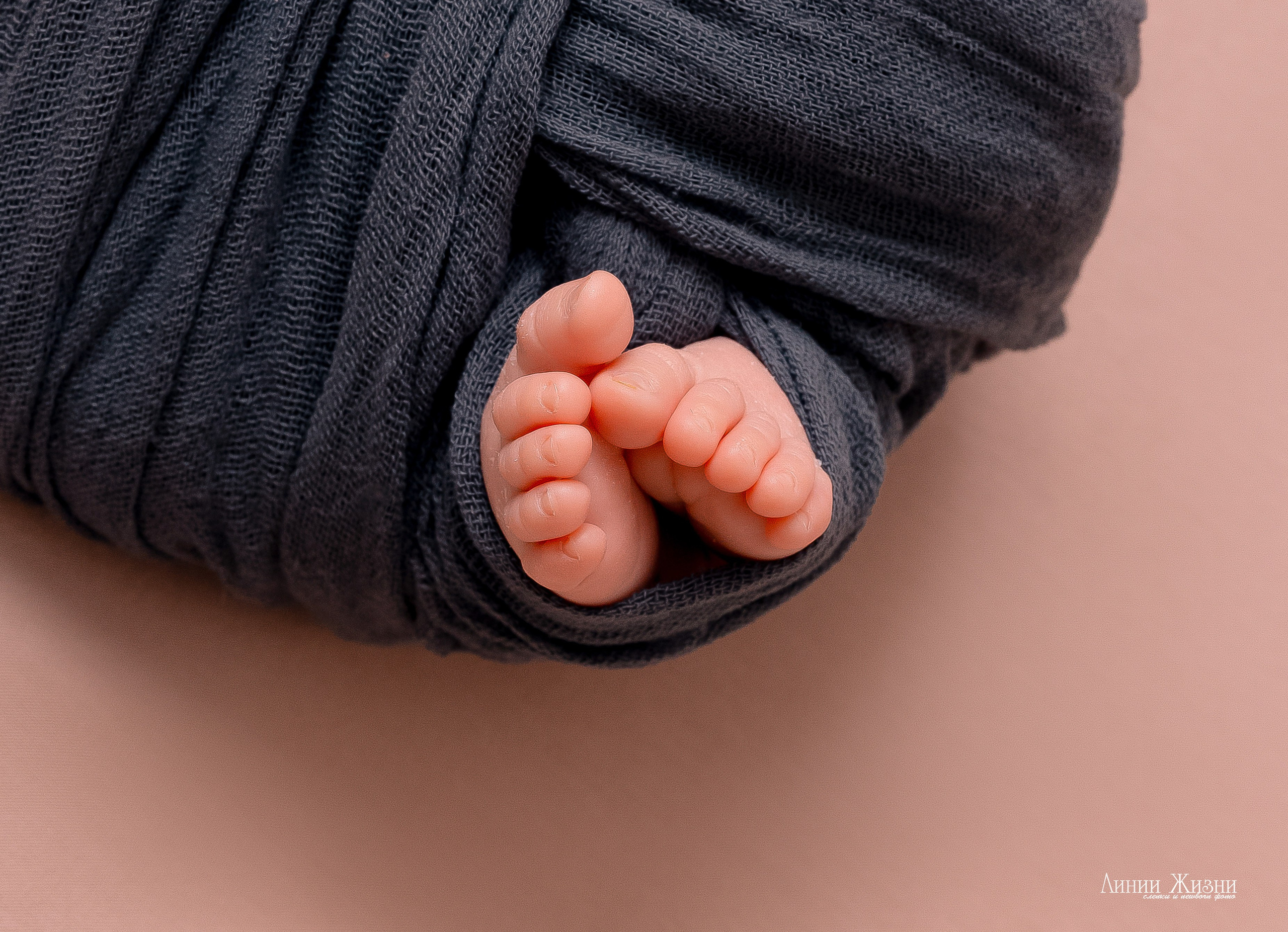 Кеша 16 дней. Фотограф новорожденных в Нижнем Новгороде Сергеева Оксана