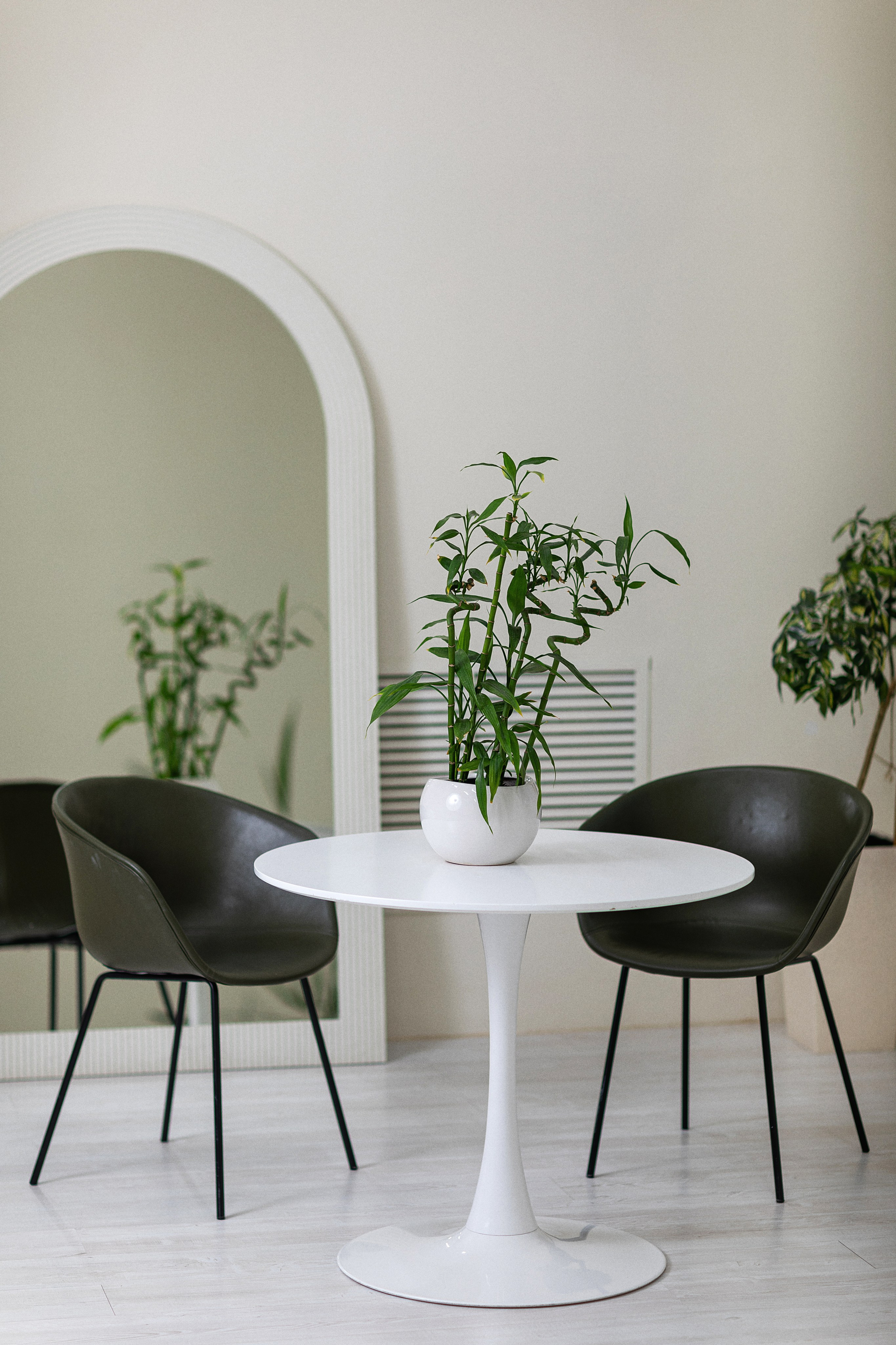 Аренда фотостудии Алматы