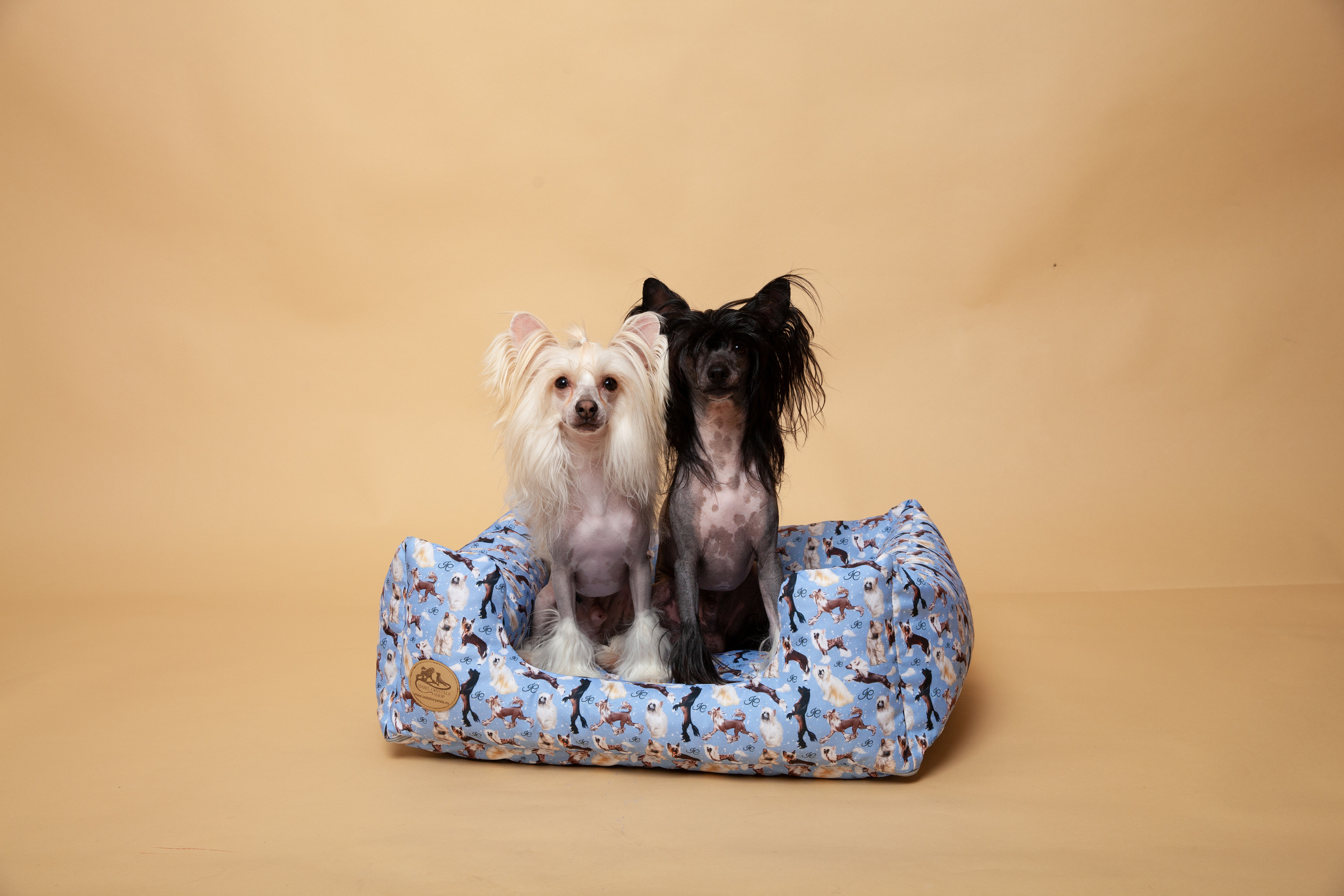 Контент-съемка для Кристины. Фотограф в Железнодорожном и Балашихе