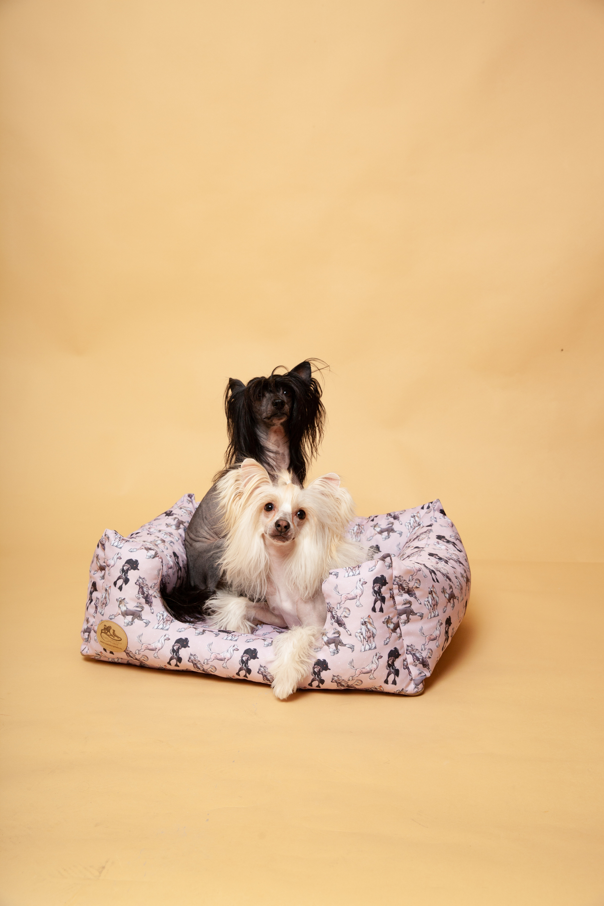 Контент-съемка для Кристины. Фотограф в Железнодорожном и Балашихе