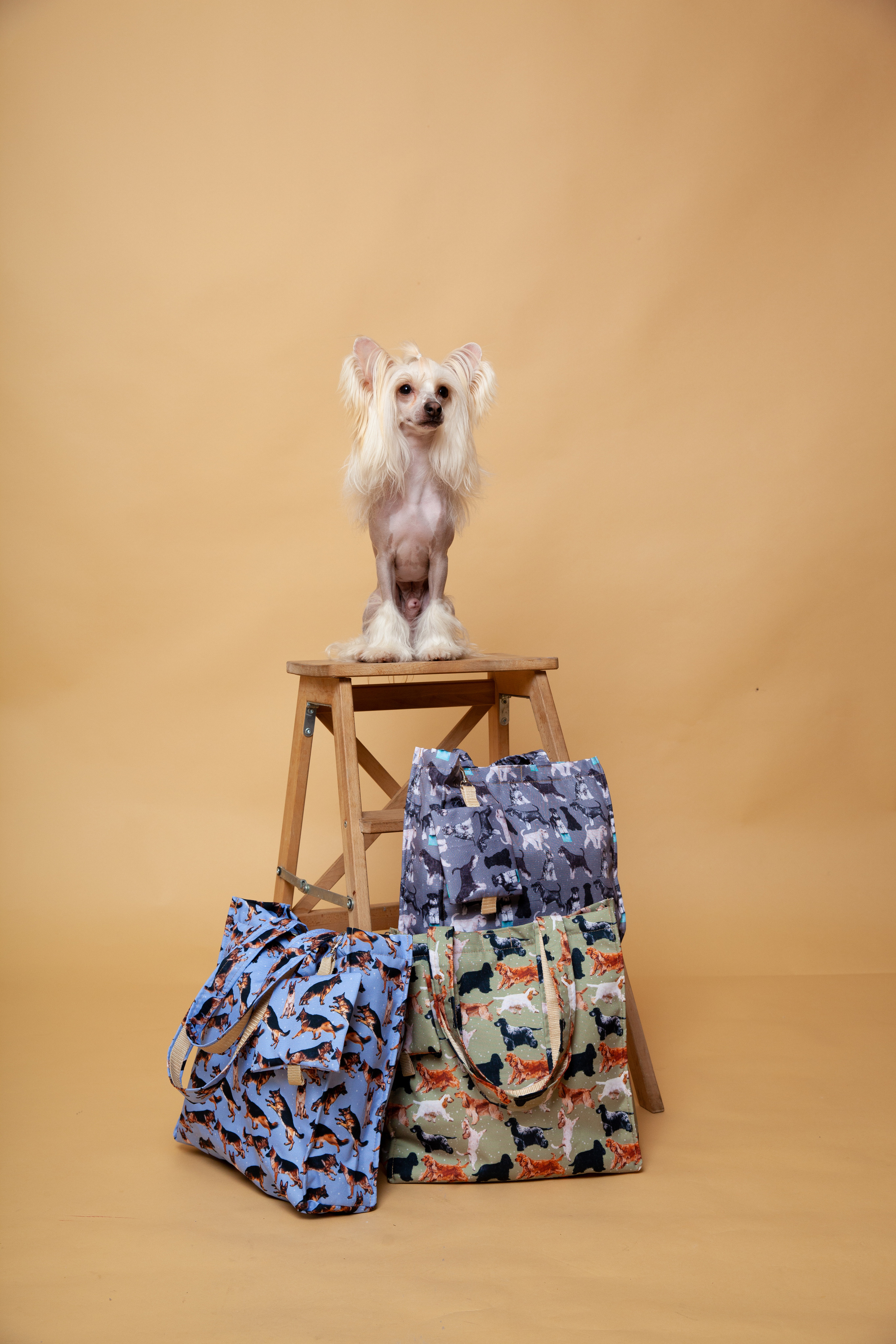 Контент-съемка для Кристины. Фотограф в Железнодорожном и Балашихе