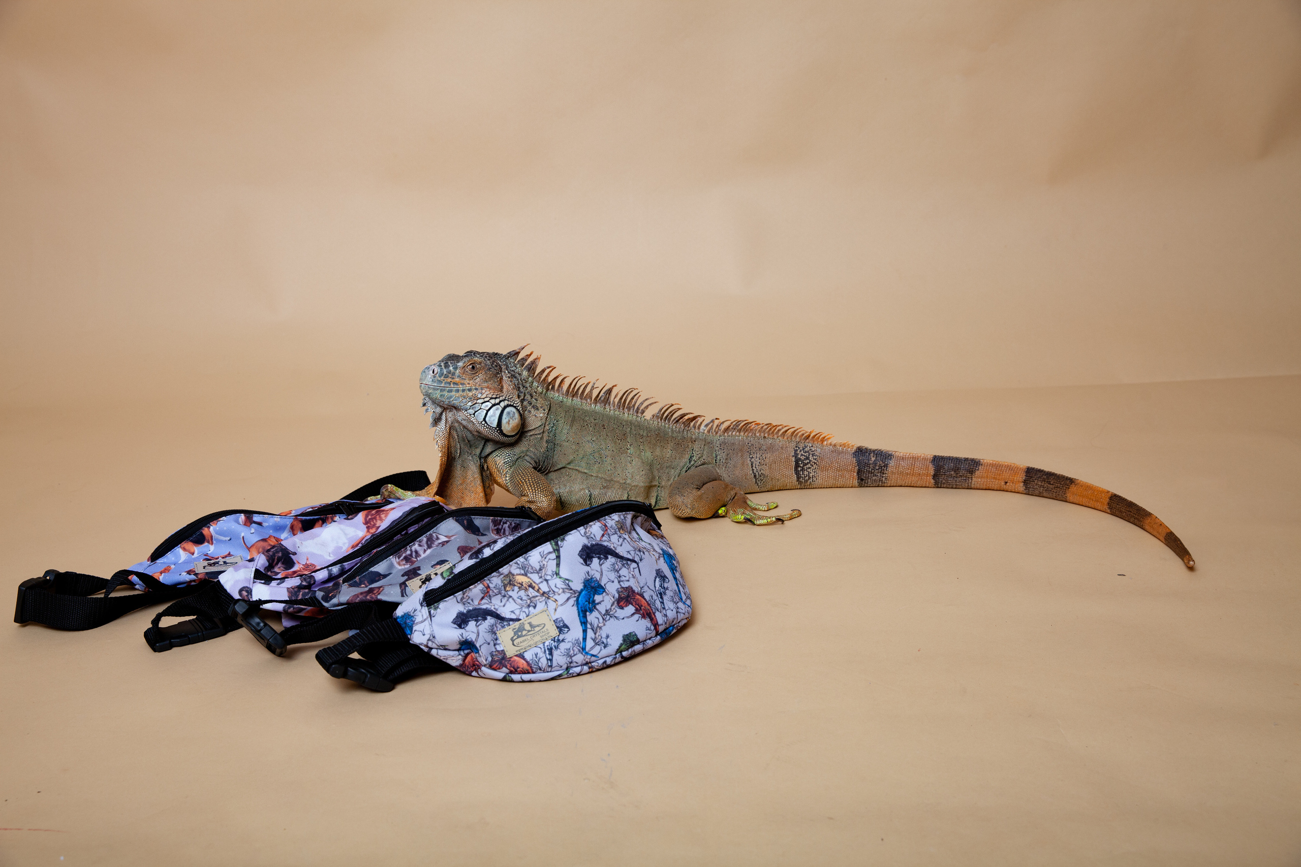 Контент-съемка для Кристины. Фотограф в Железнодорожном и Балашихе