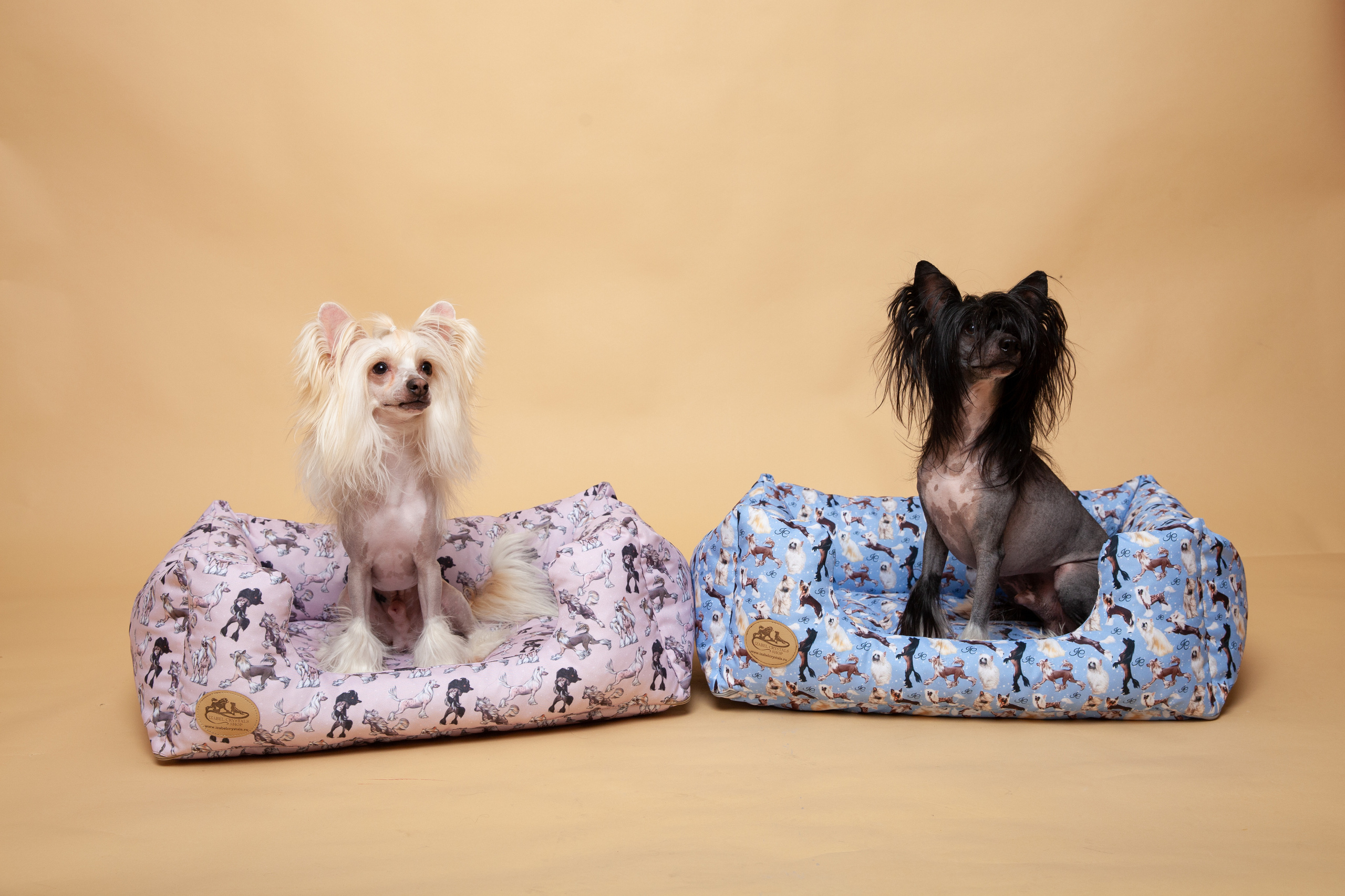 Контент-съемка для Кристины. Фотограф в Железнодорожном и Балашихе