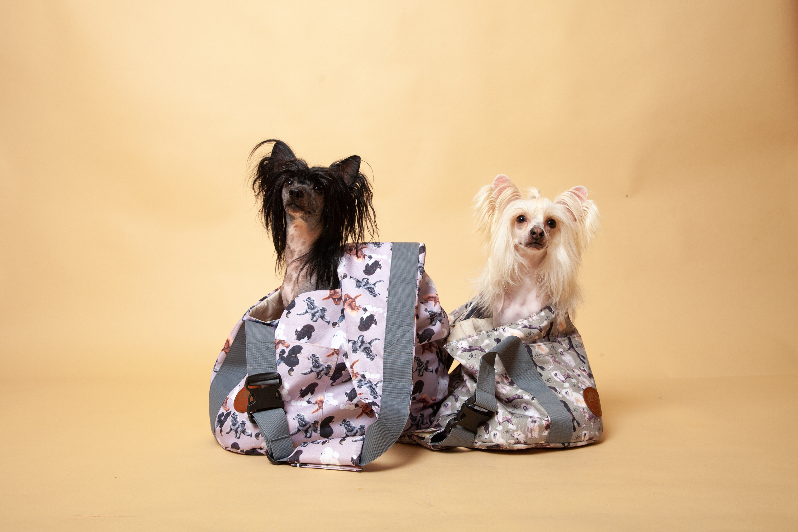 Контент-съемка для Кристины. Фотограф в Железнодорожном и Балашихе