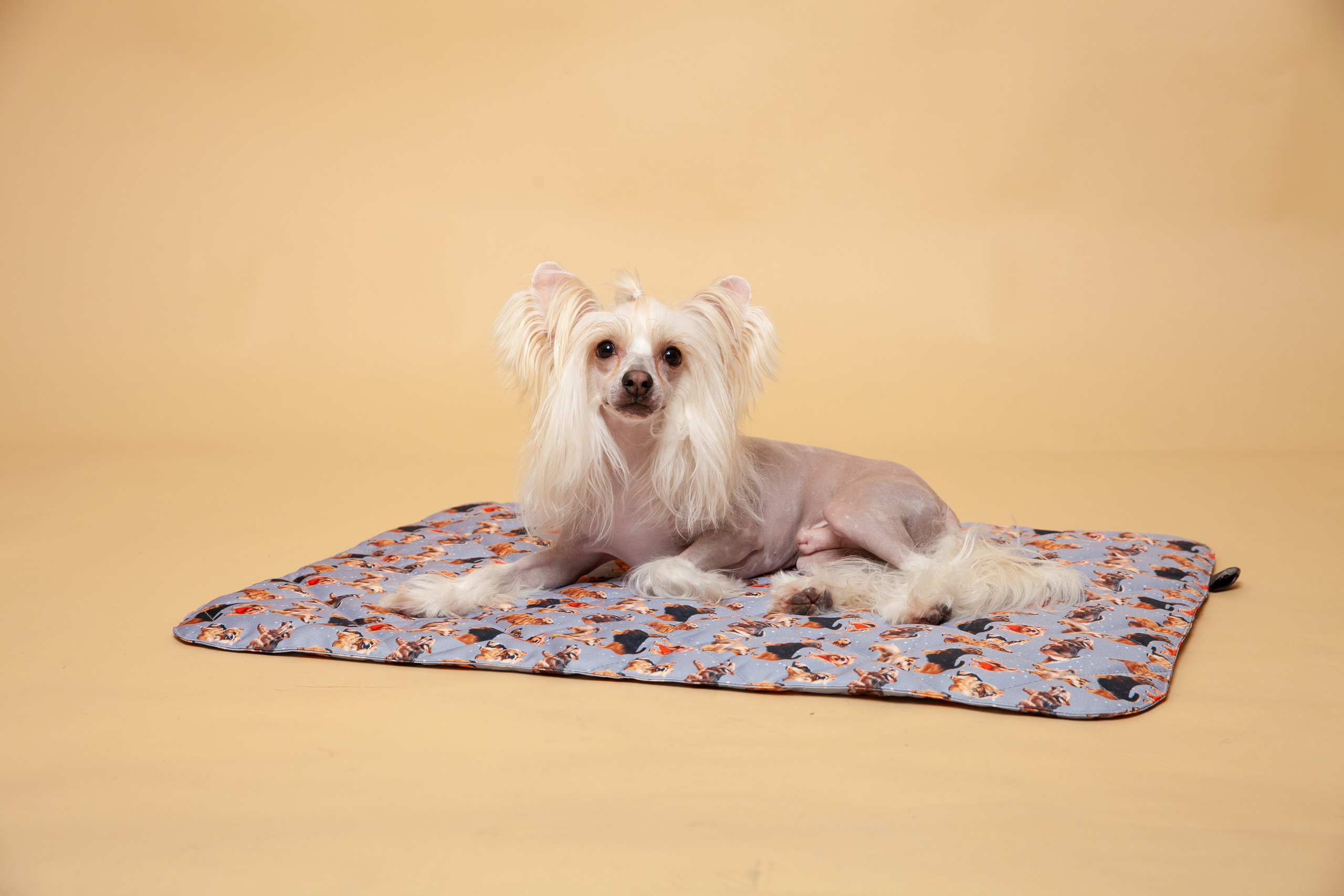 Контент-съемка для Кристины. Фотограф в Железнодорожном и Балашихе