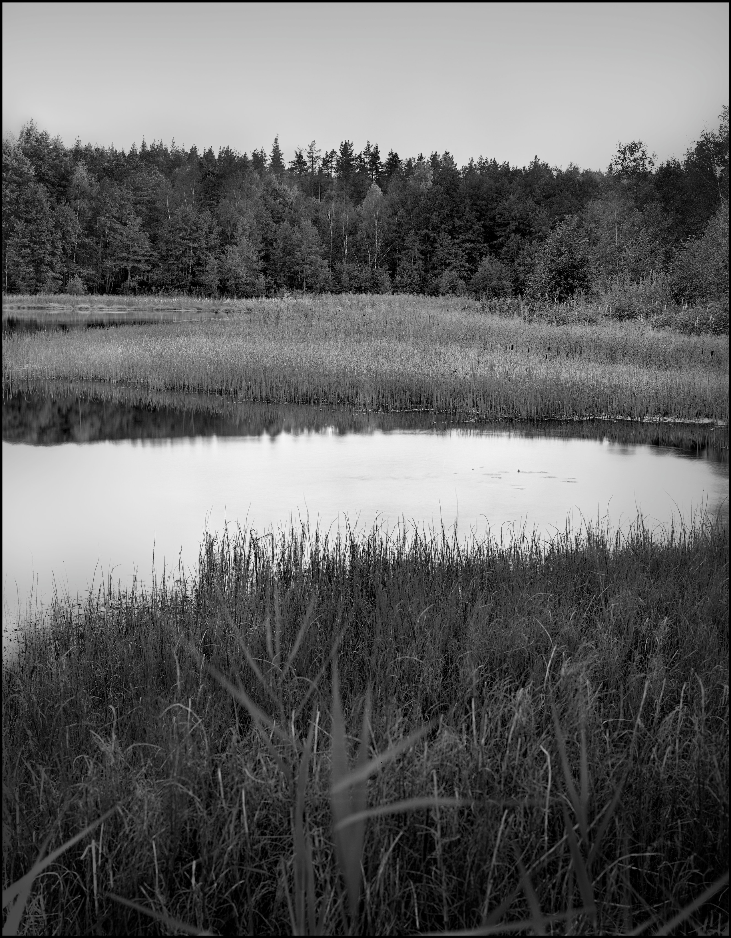 Landscape. Sergey Kondriuk art-photographer | artist