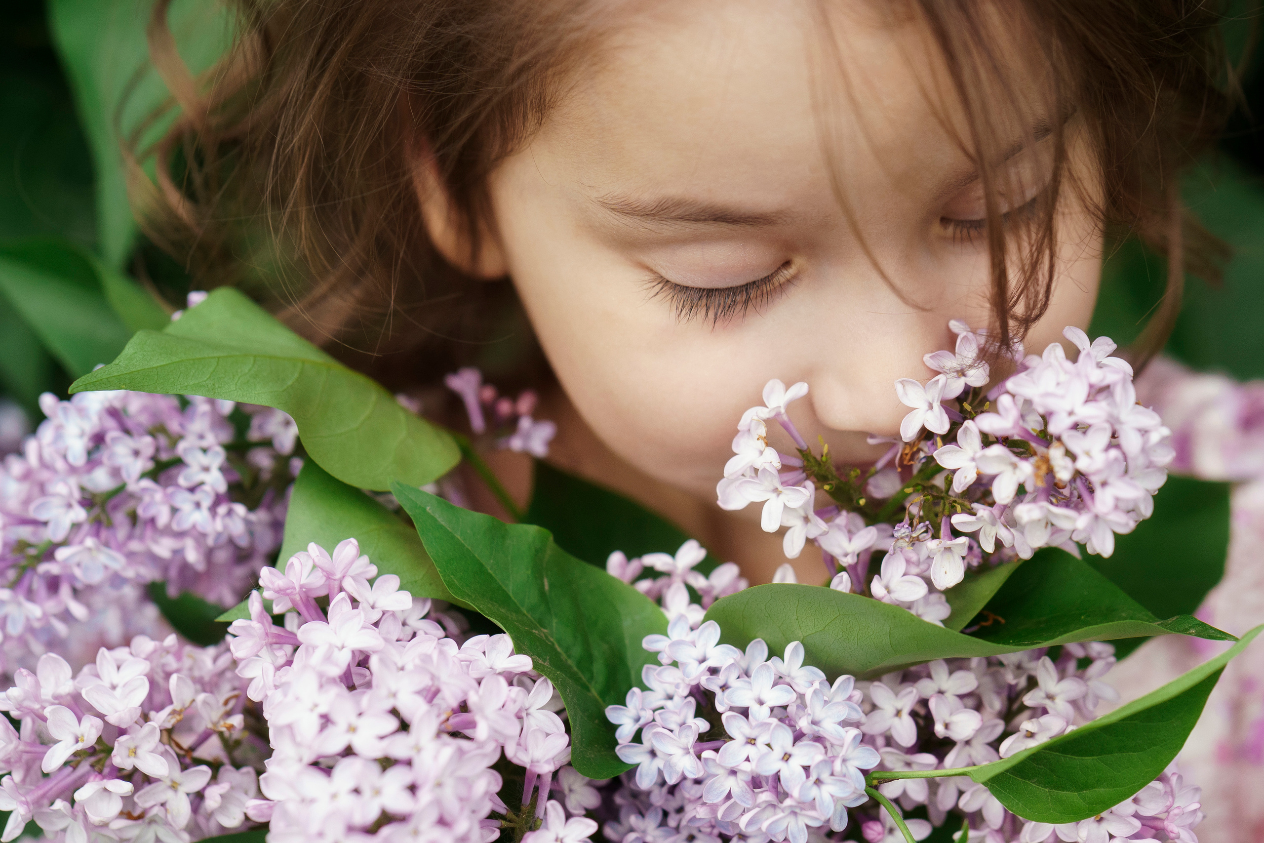 Сирень. Фотограф Видеограф новорожденные и дети Н.Новгород Елена Длужинская