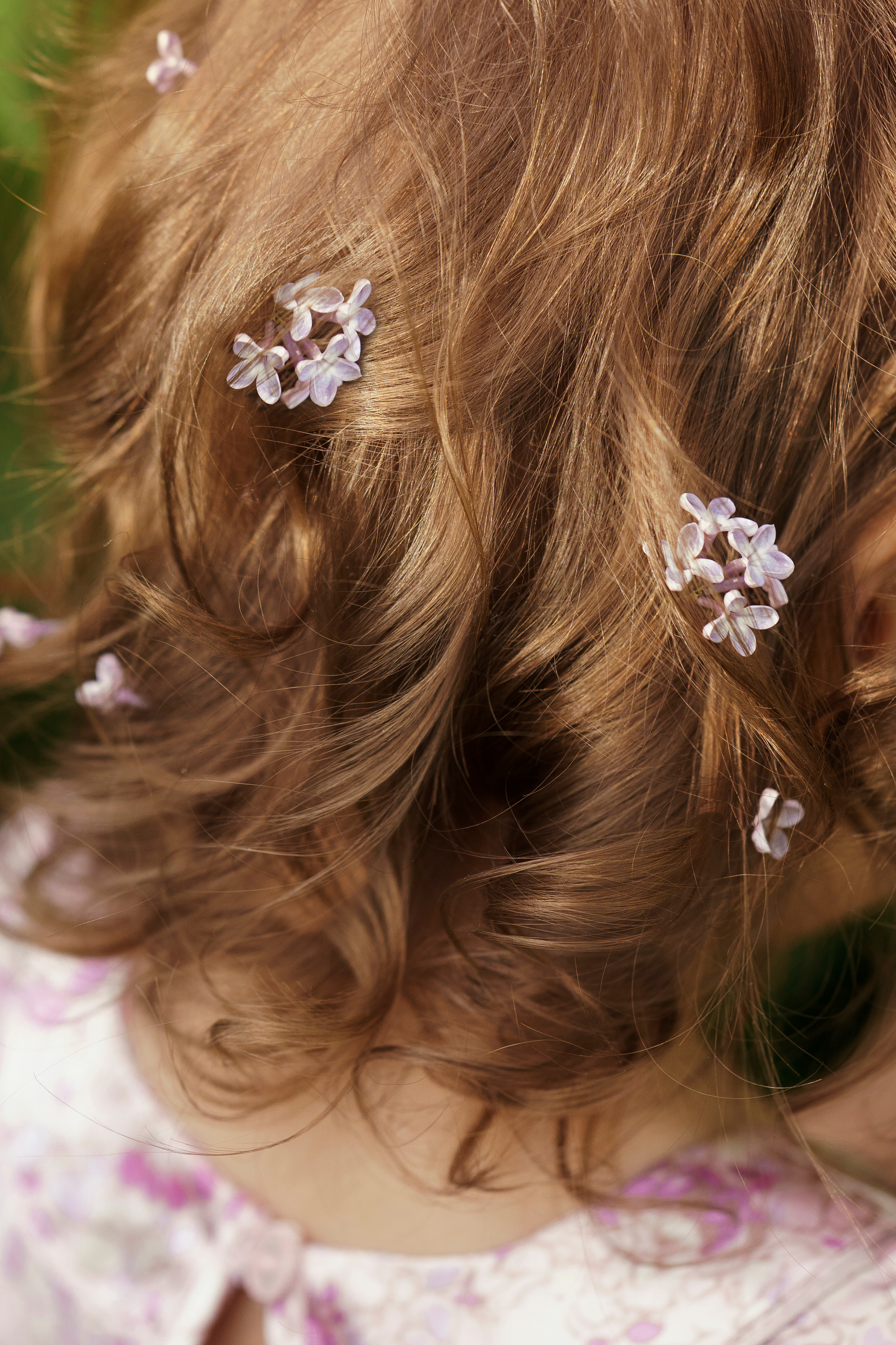 Сирень. Фотограф Видеограф новорожденные и дети Н.Новгород Елена Длужинская