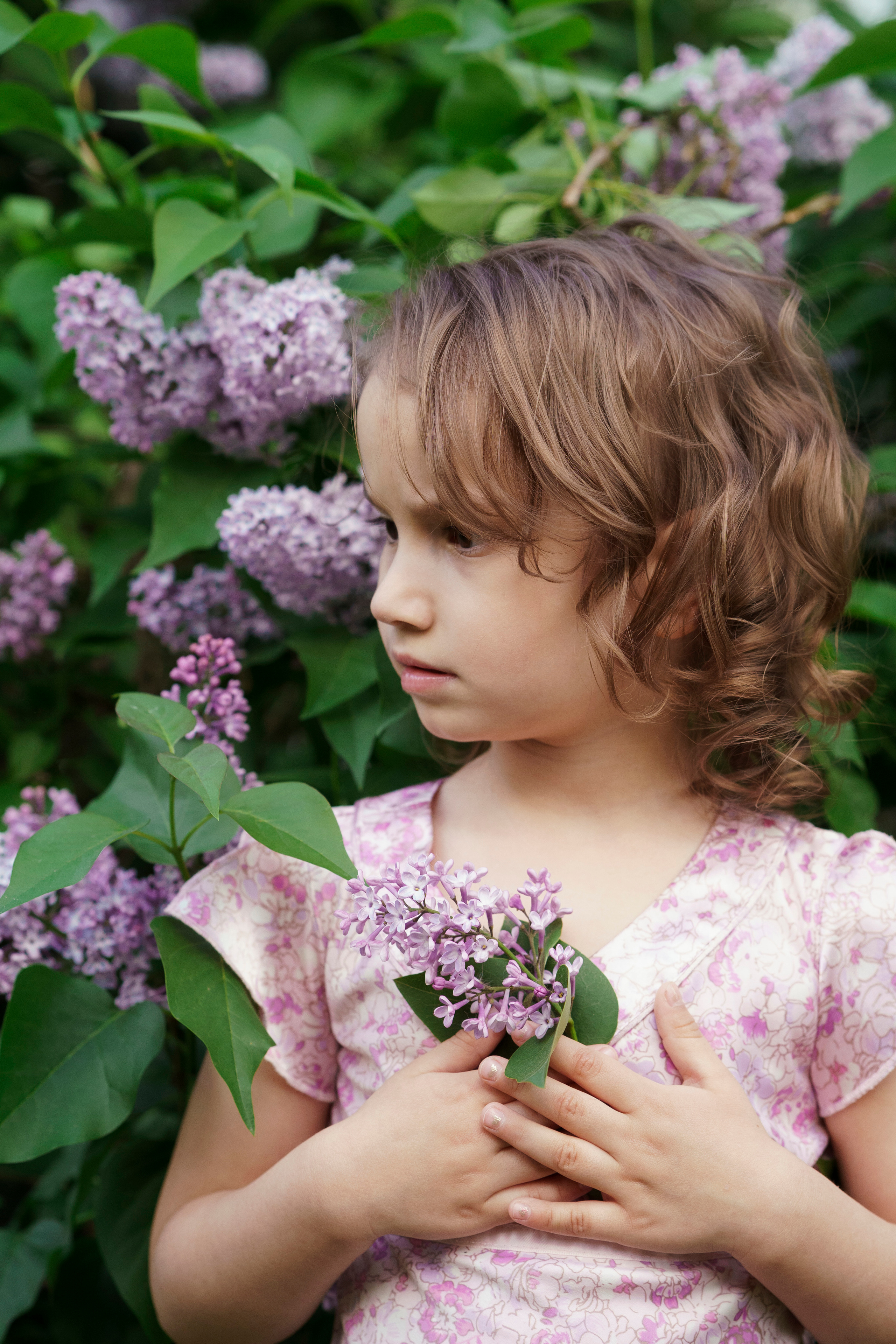 Сирень. Фотограф Видеограф новорожденные и дети Н.Новгород Елена Длужинская