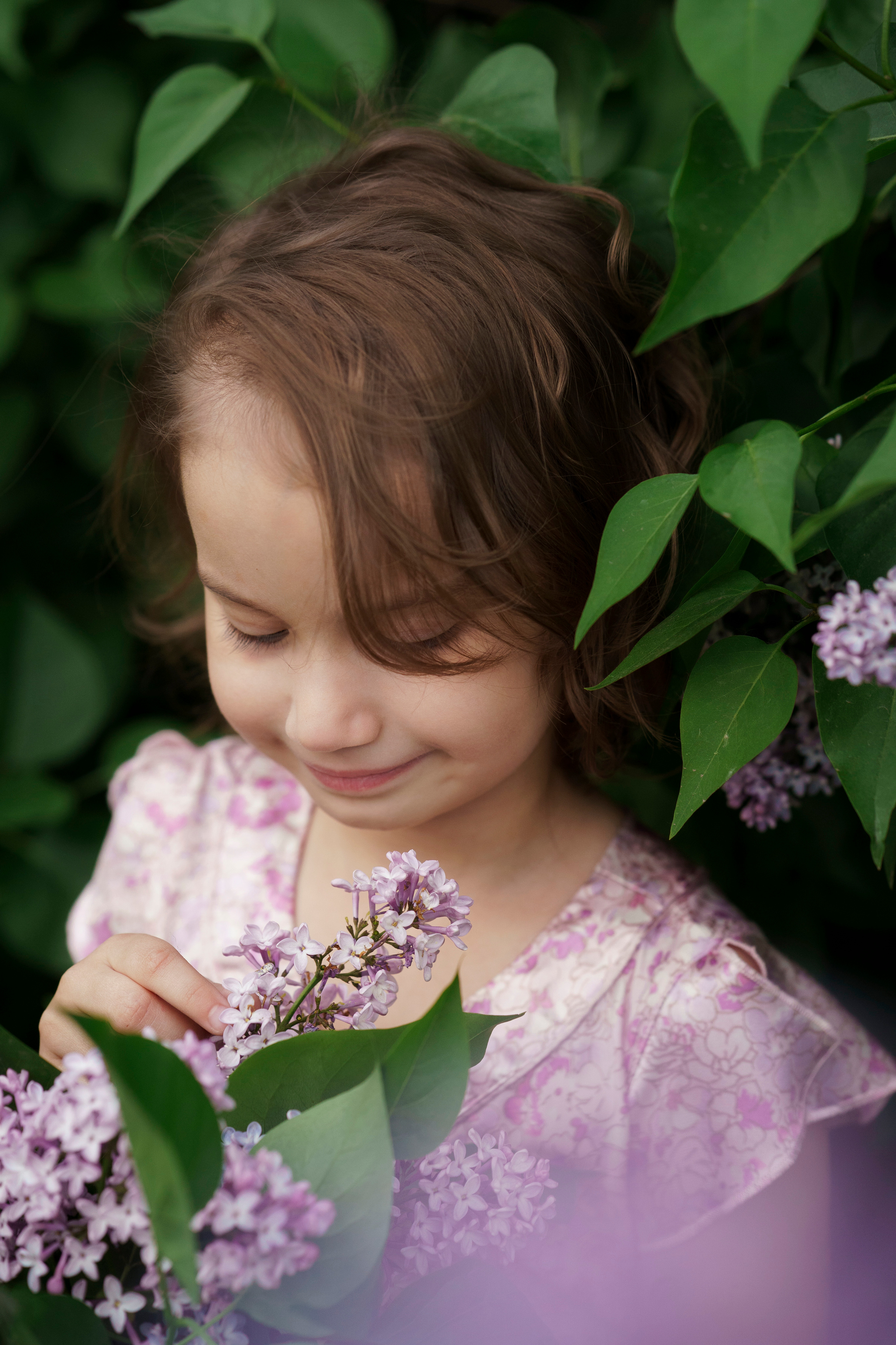 Сирень. Фотограф Видеограф новорожденные и дети Н.Новгород Елена Длужинская