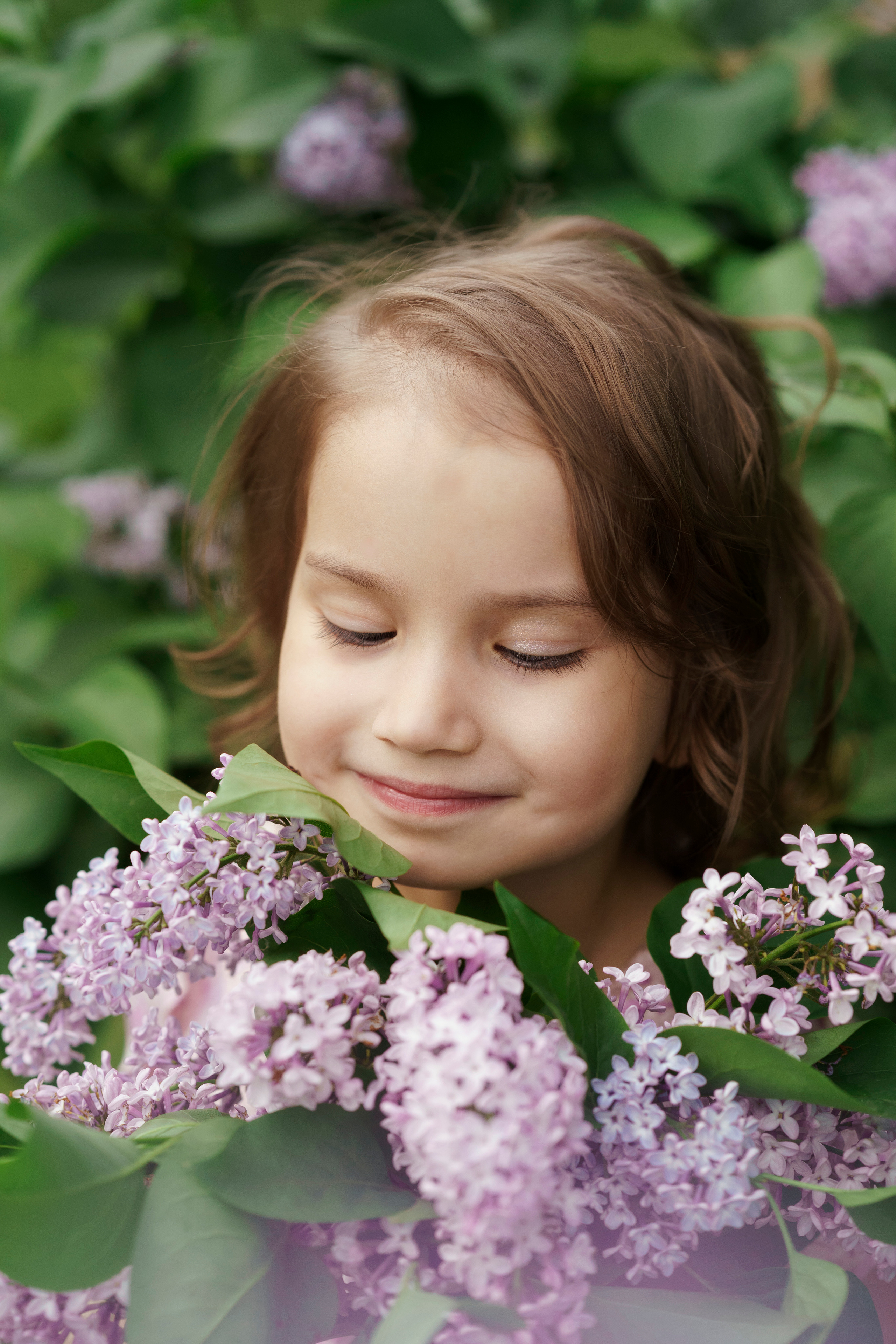 Сирень. Фотограф Видеограф новорожденные и дети Н.Новгород Елена Длужинская