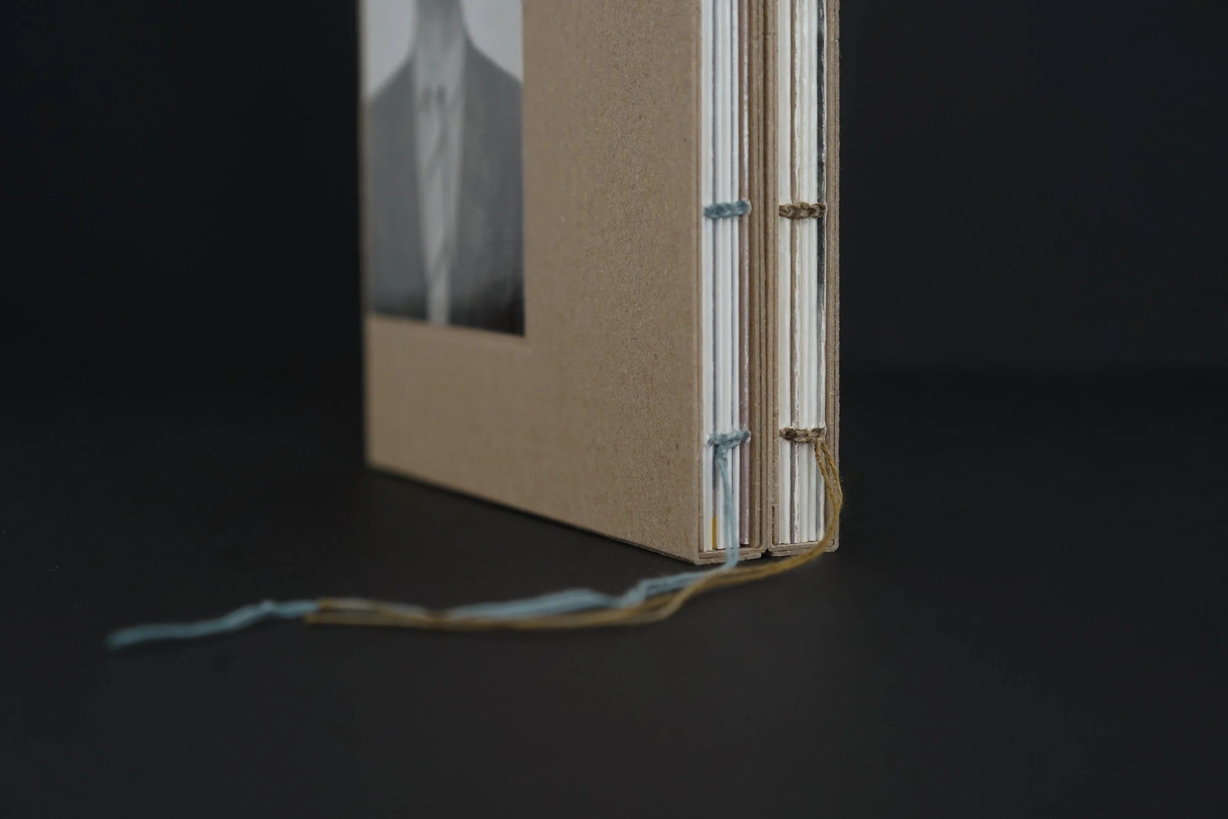 ОБЗОР АКТУАЛЬНЫХ ФОТОКНИГ: BINOM. Самоорганизация Низина