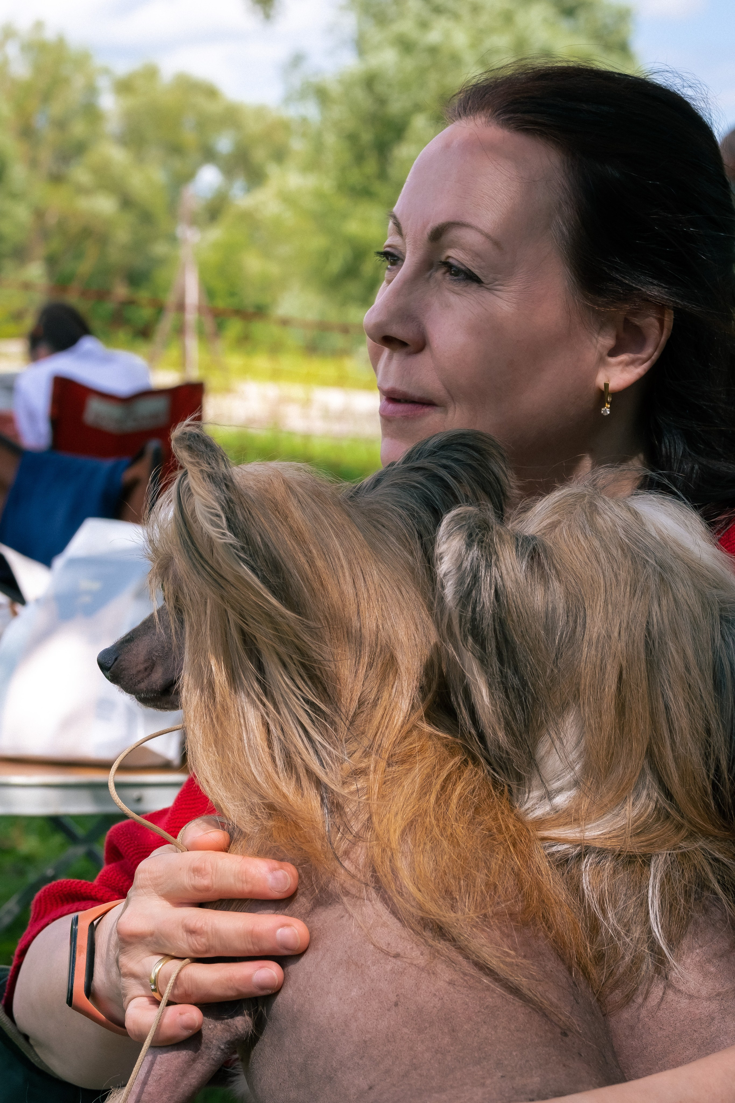 Poale Ell Cooper. Chinese Crested Dog Kennel Poale Ell