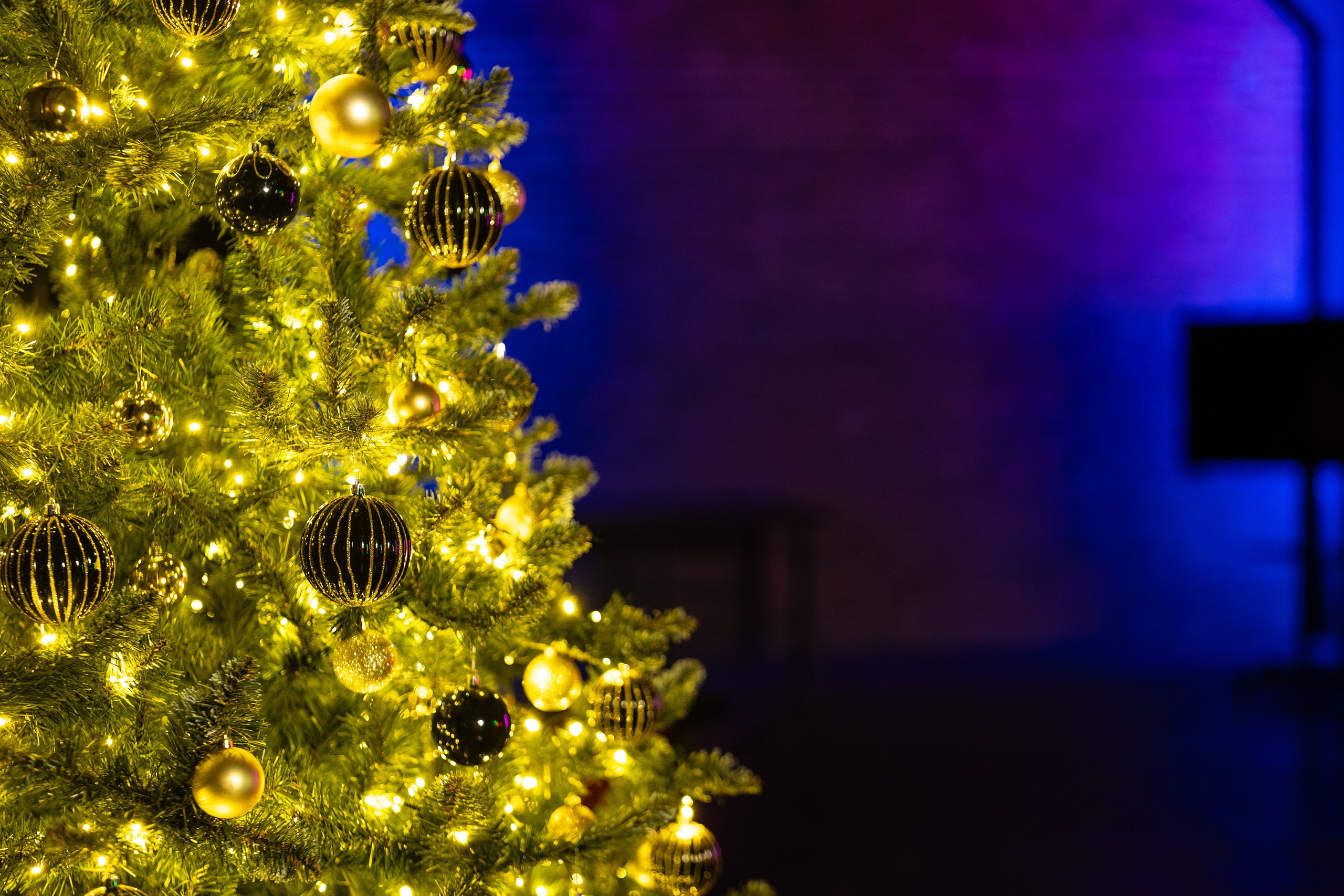 Фактура. Фотостудия Тироль. Москва