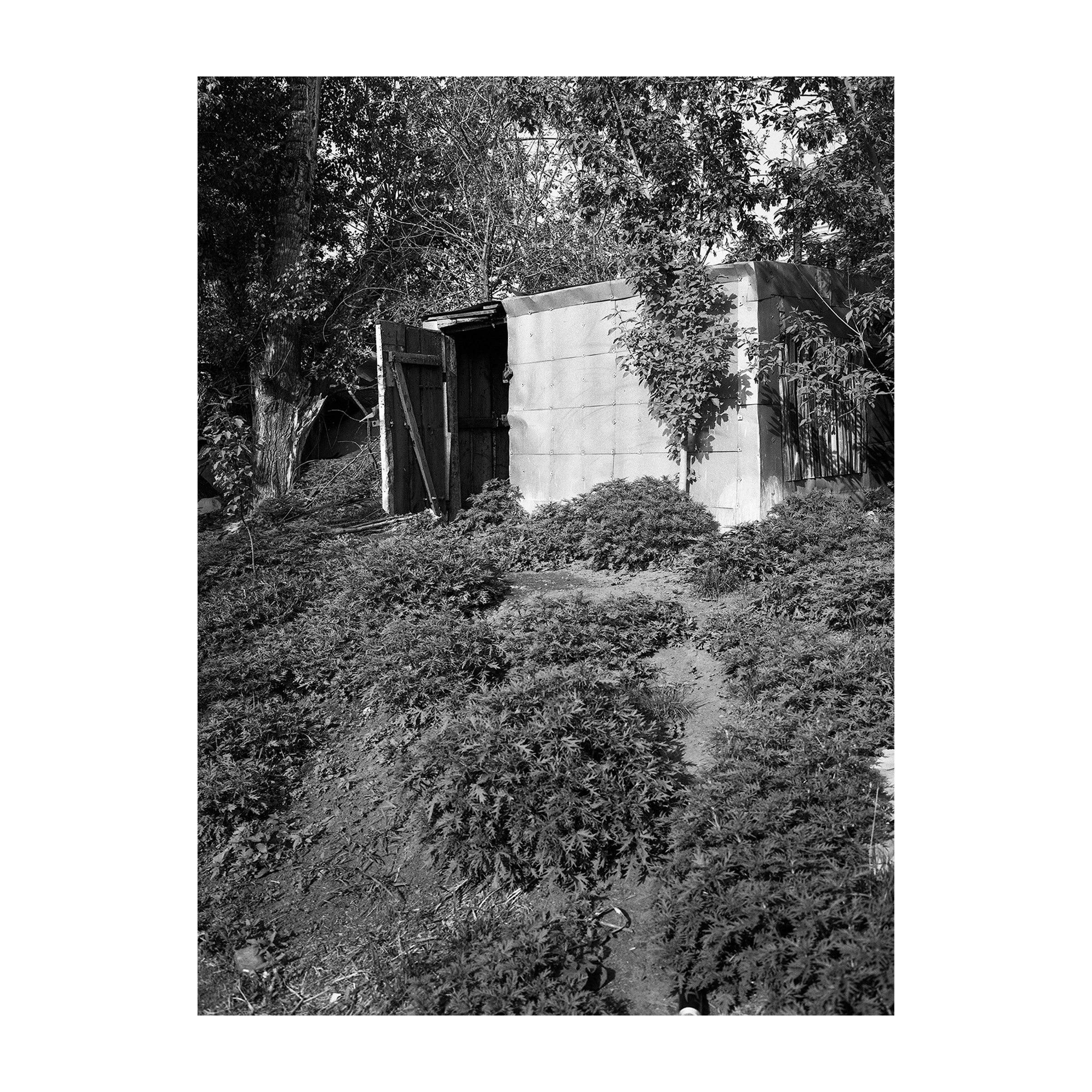 40 дней. Артем Владимиров