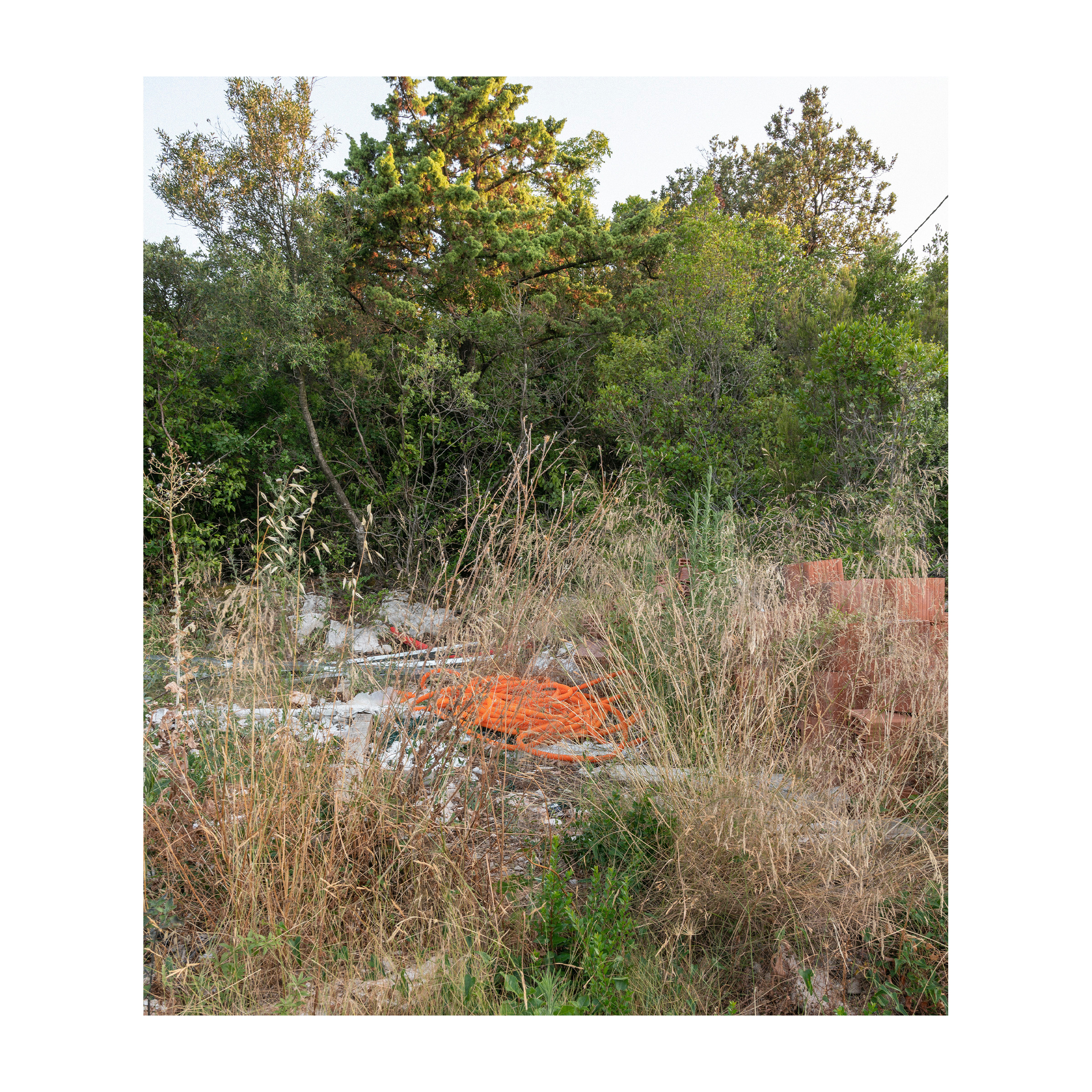 Ivičnjak. Артем Владимиров