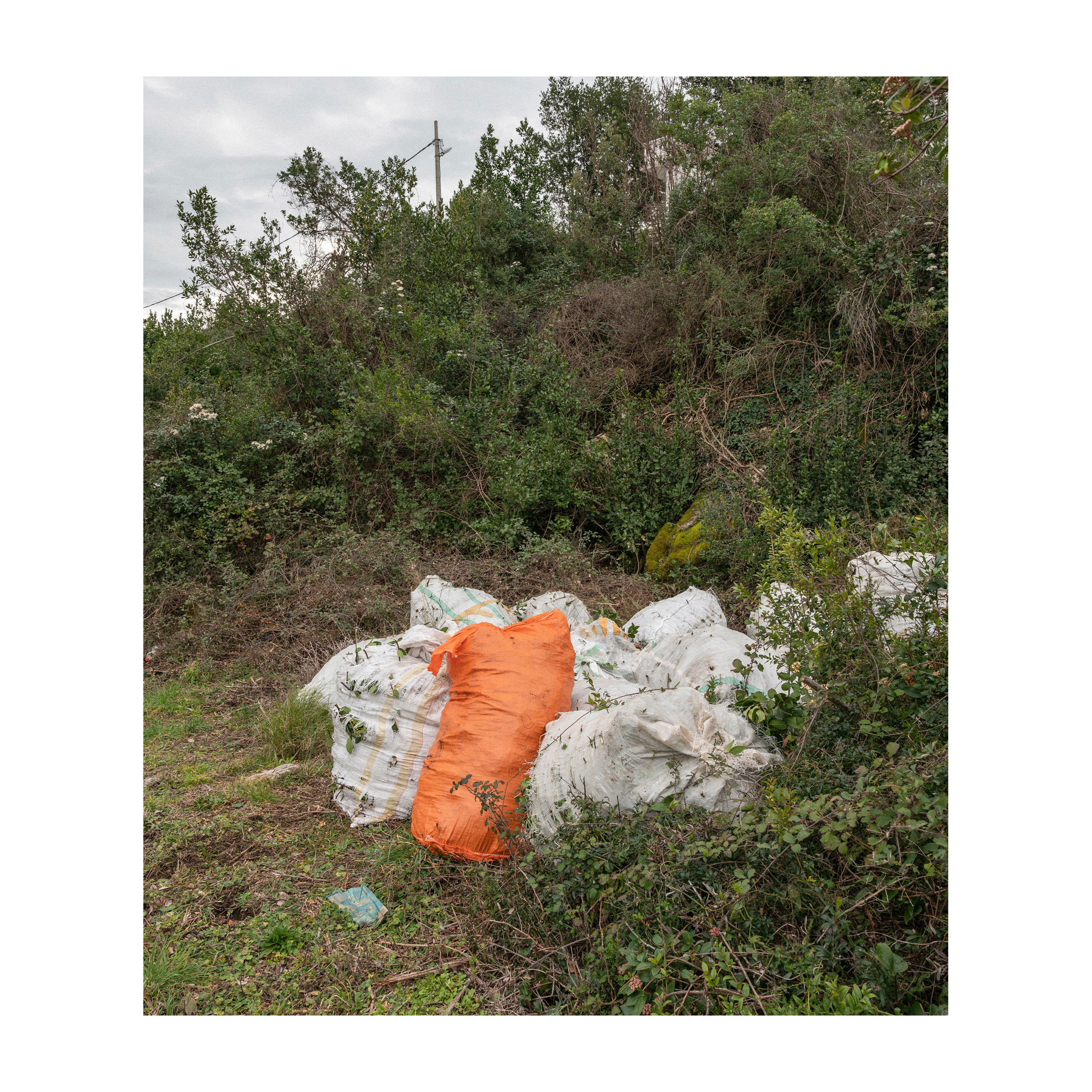 Ivičnjak. Артем Владимиров